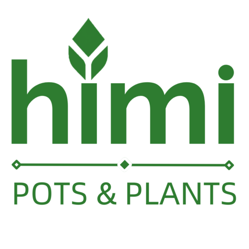 Himi