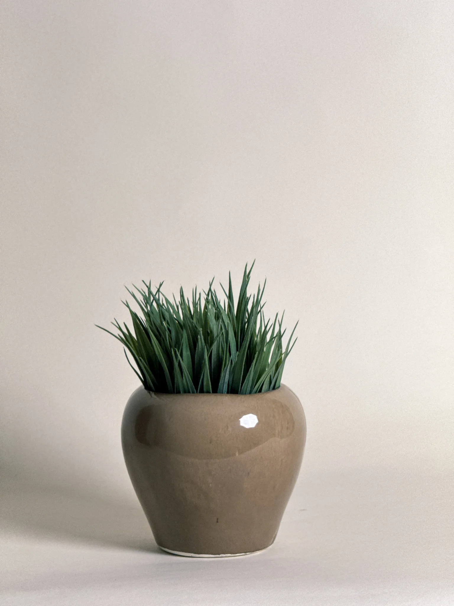 Classic Ceramic Planter — 6" Dia × 5.5" Height