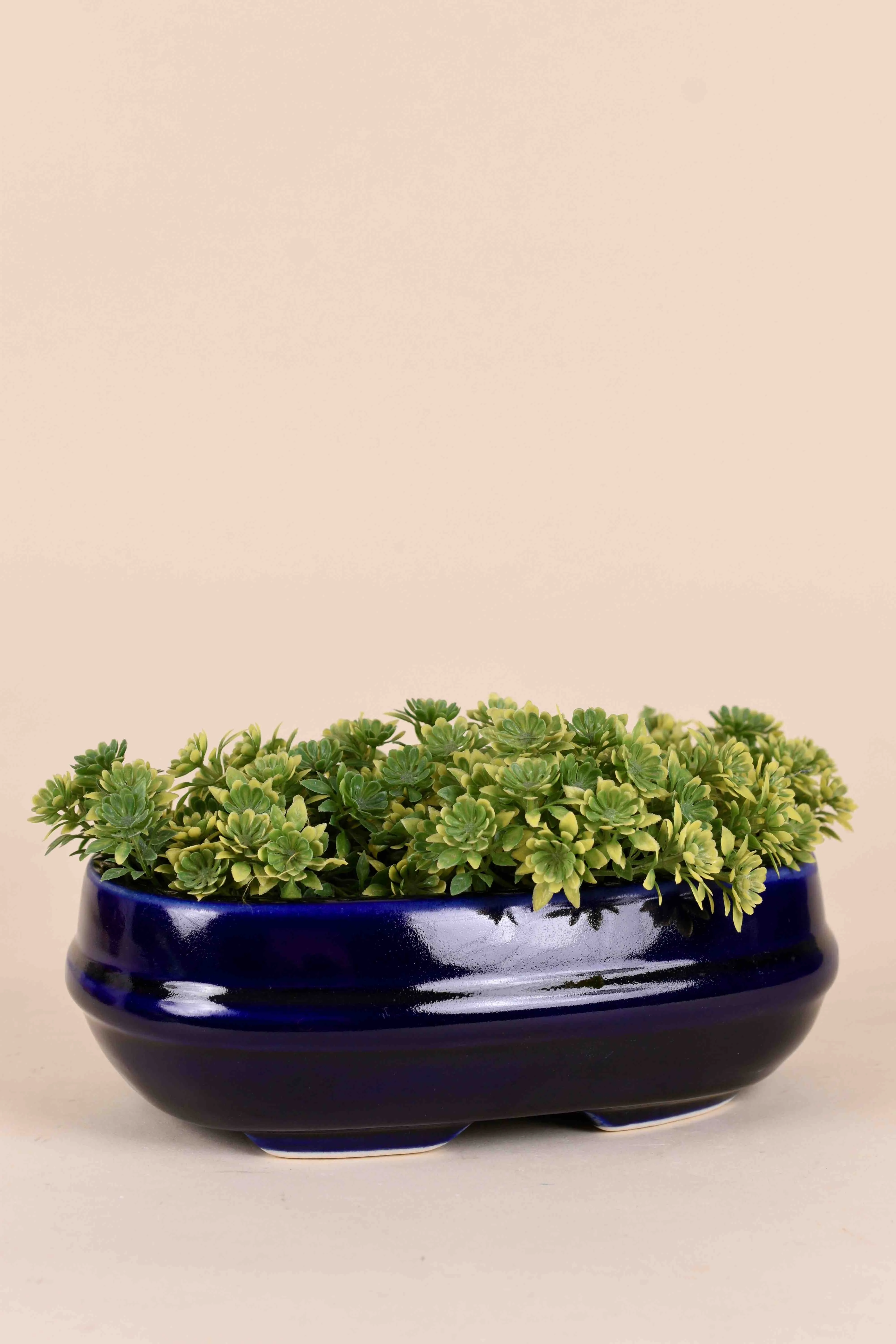 Classic Ceramic Planter Set of 3 (3" Dia)