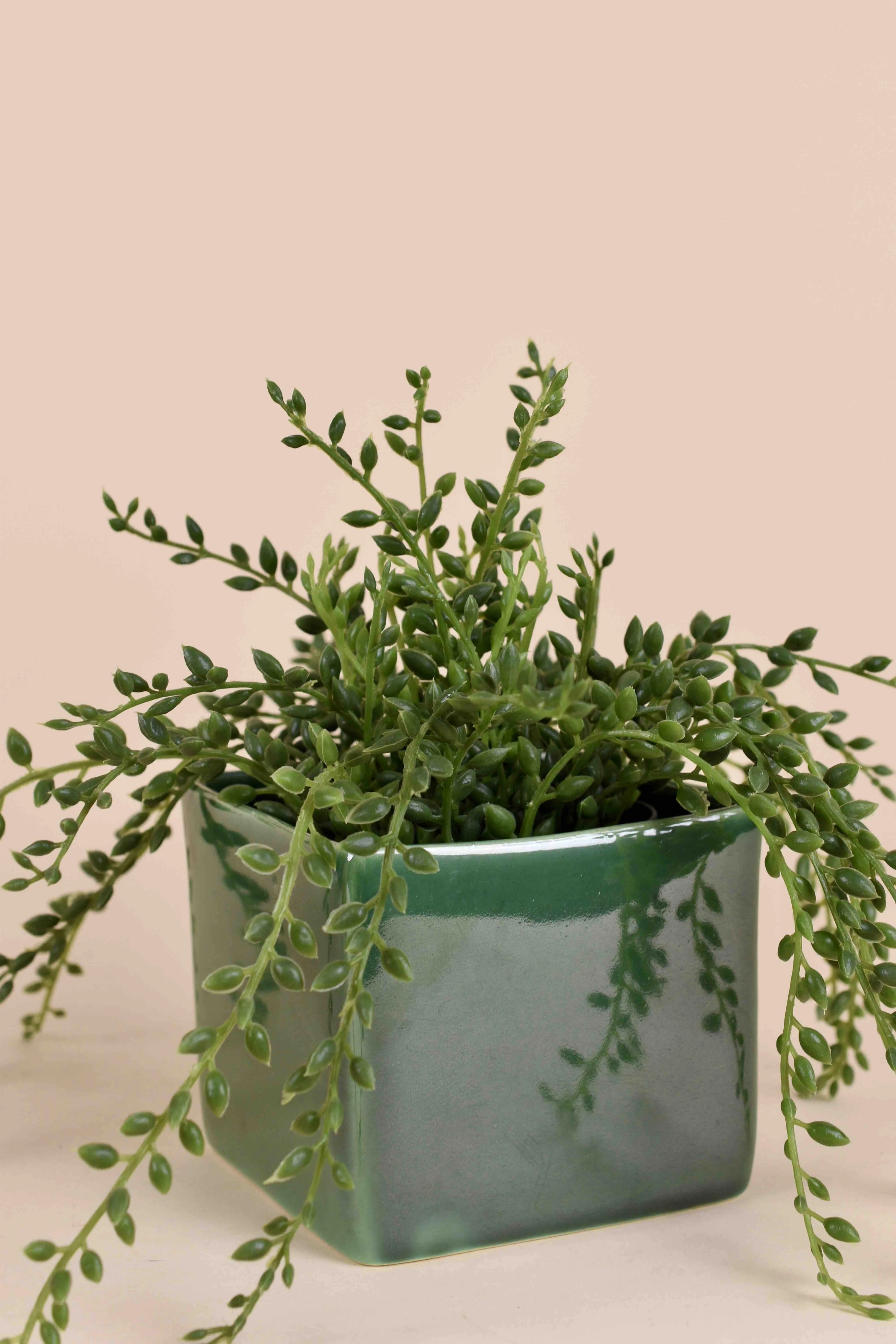 Classic Ceramic Planter — 6" Dia × 7" Height — Primary View