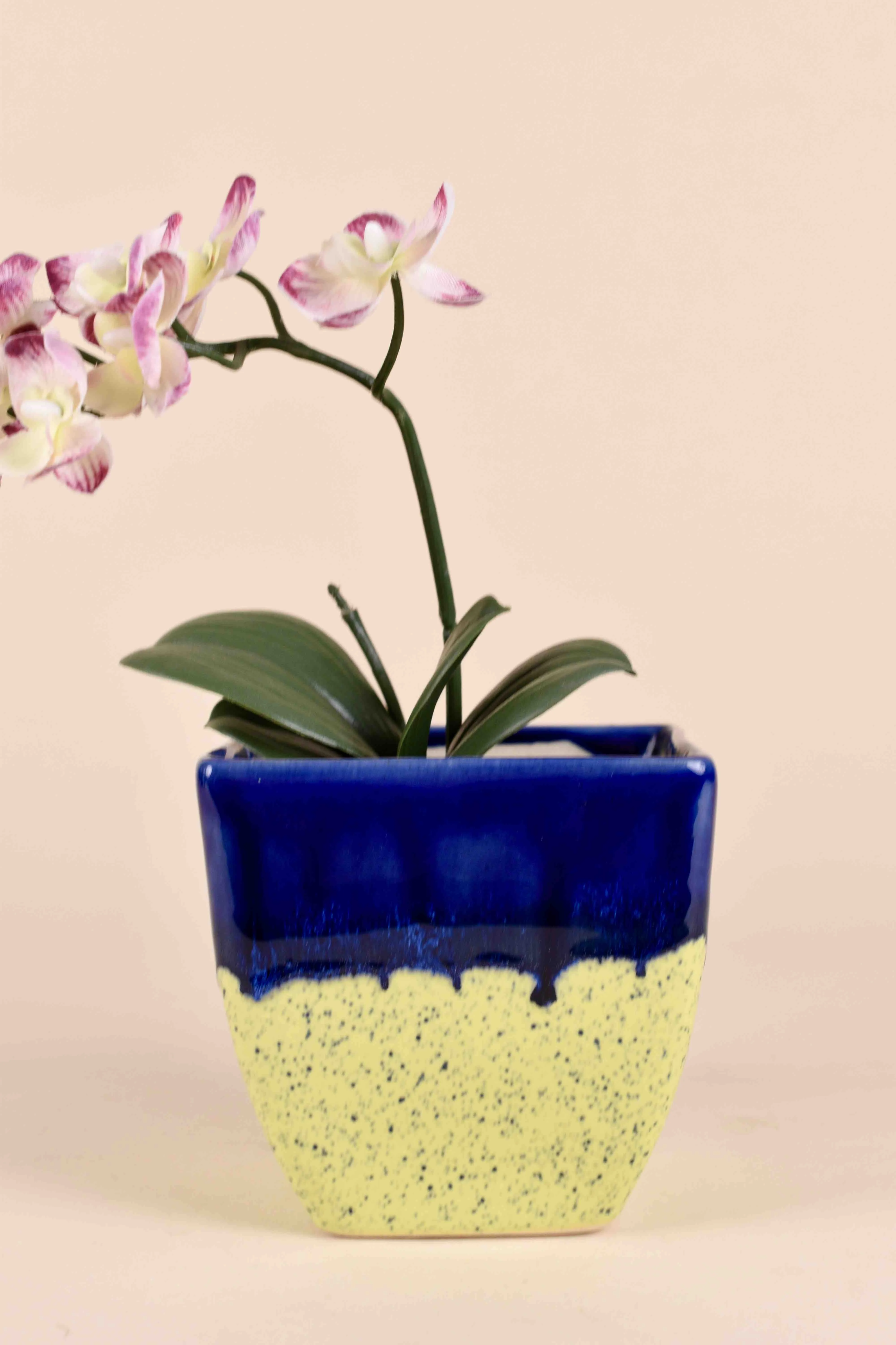 Classic Ceramic Planter — 3" Dia × 3" Height — Primary View