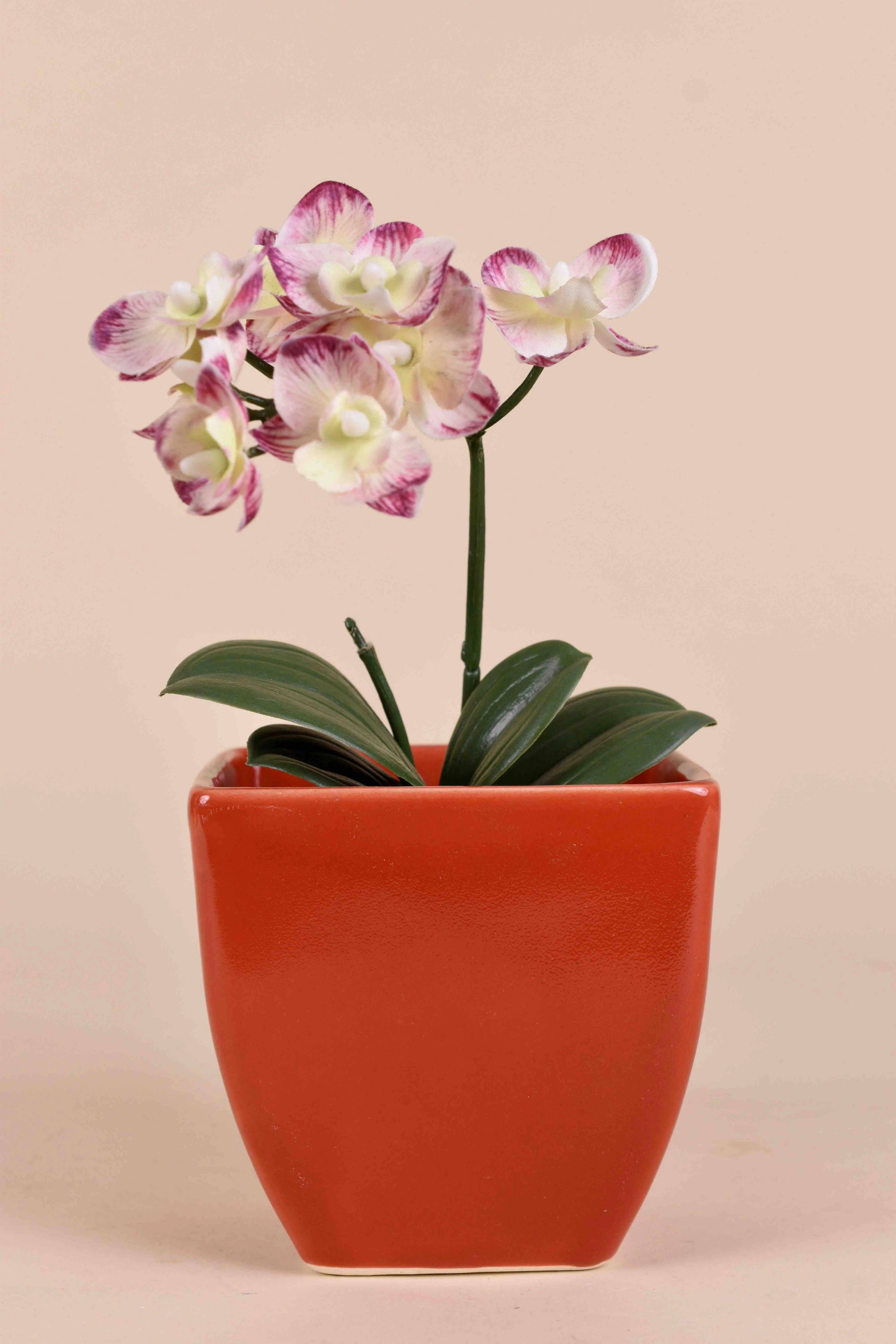 Classic Ceramic Planter — 3" Dia × 3" Height — Primary View