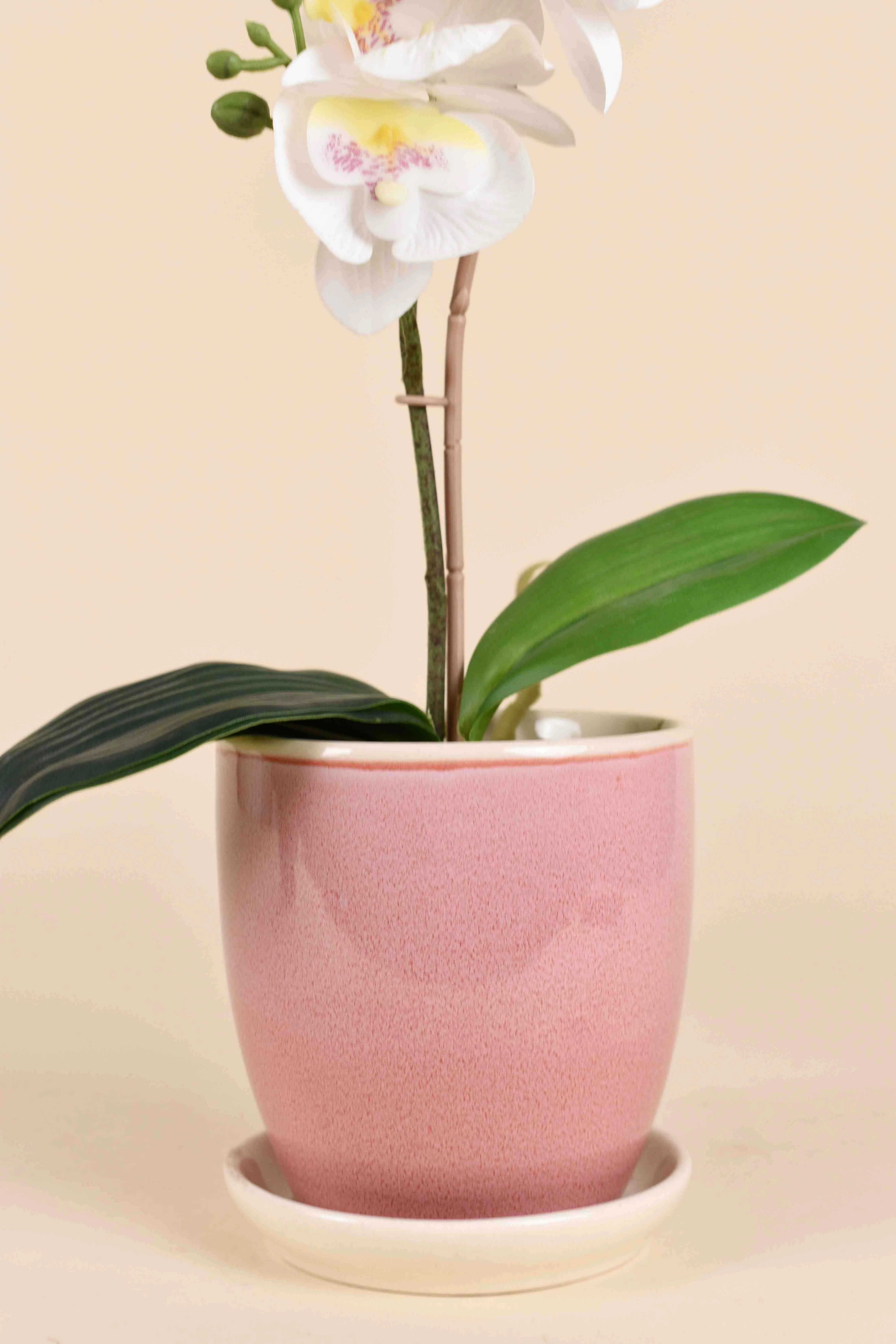 Classic Ceramic Planter — 3" Dia × 3" Height — Primary View