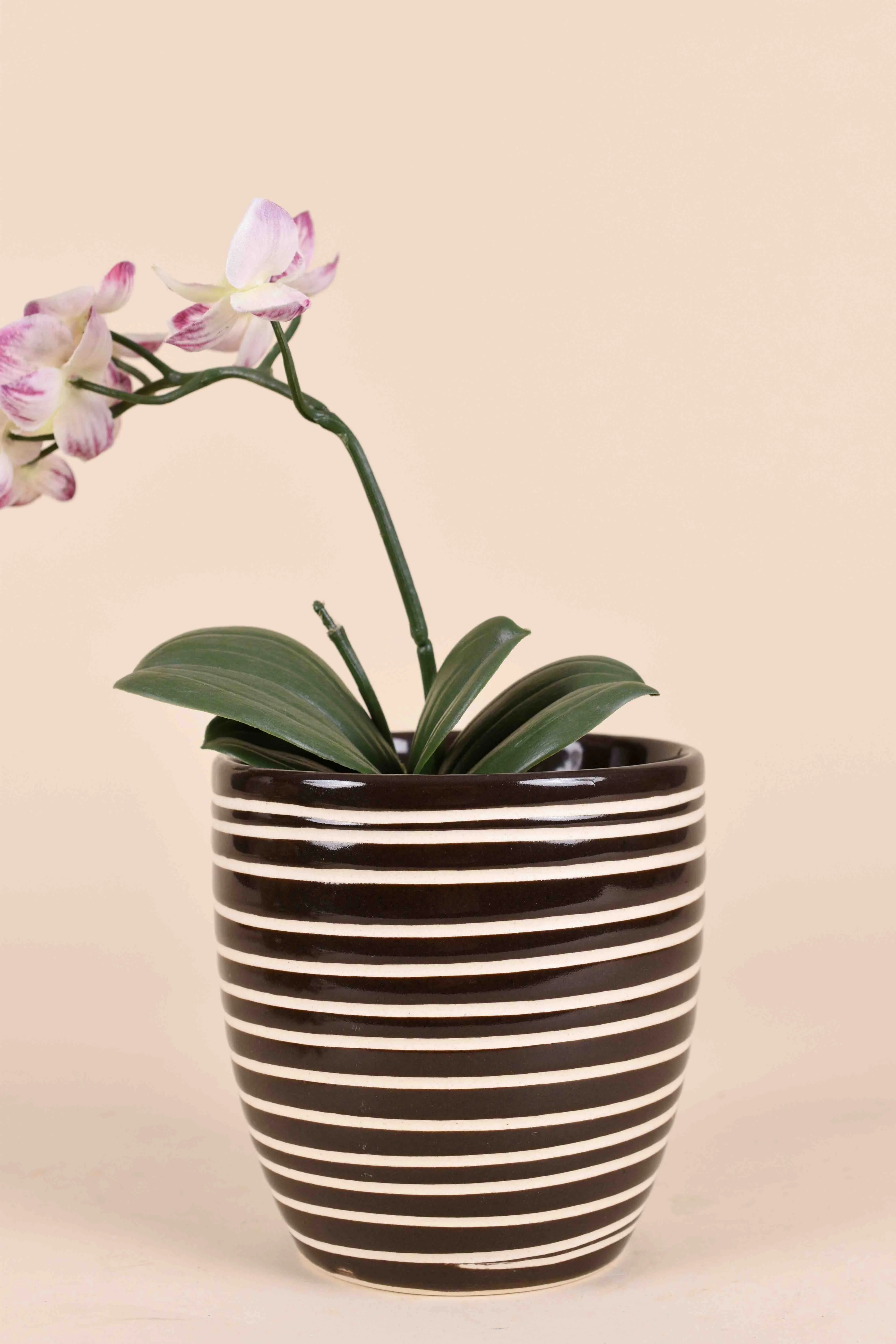 Classic Ceramic Planter — 3" Dia × 3" Height — Primary View