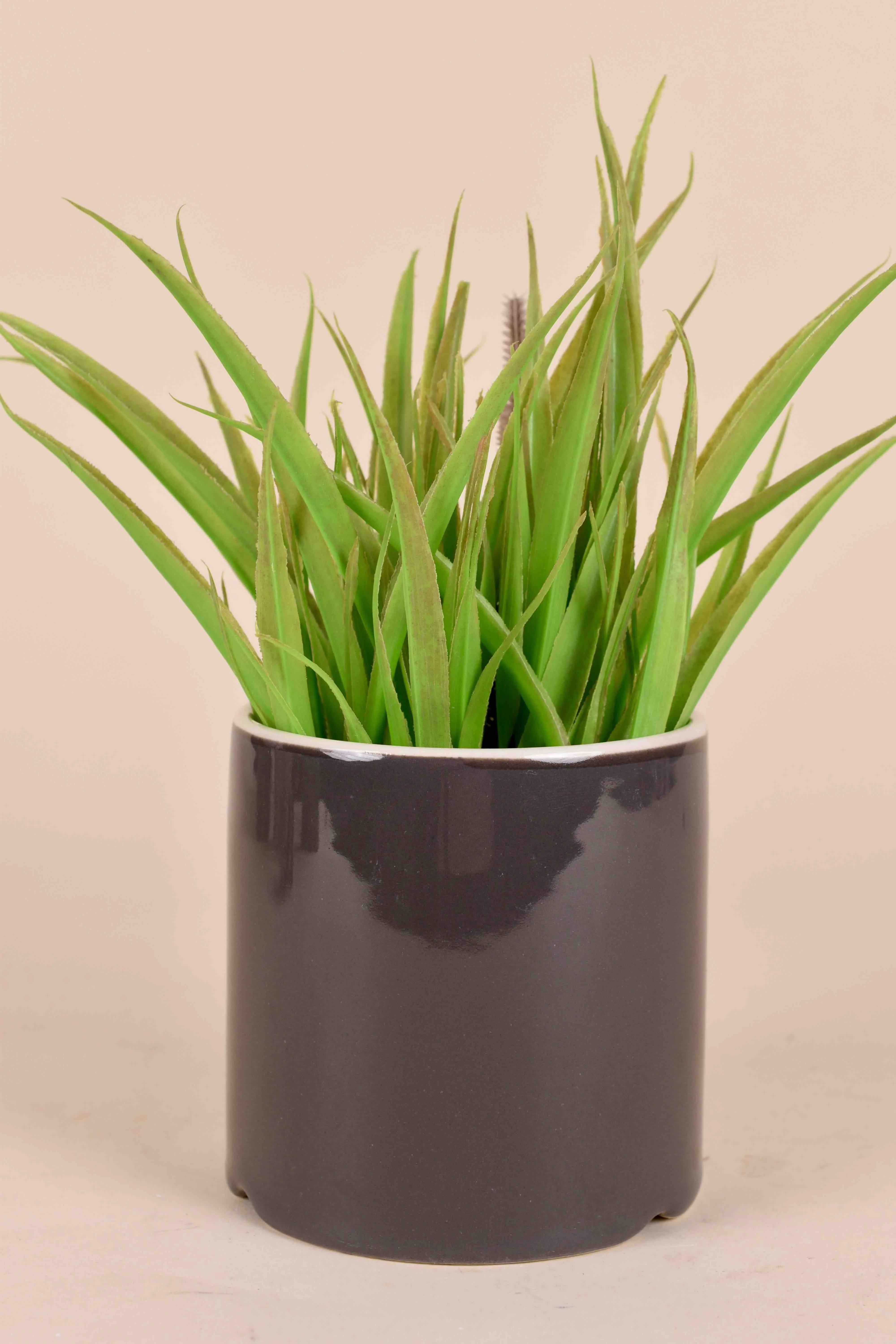 Classic Ceramic Planter — 5.5" Dia × 5.5" Height — Primary View