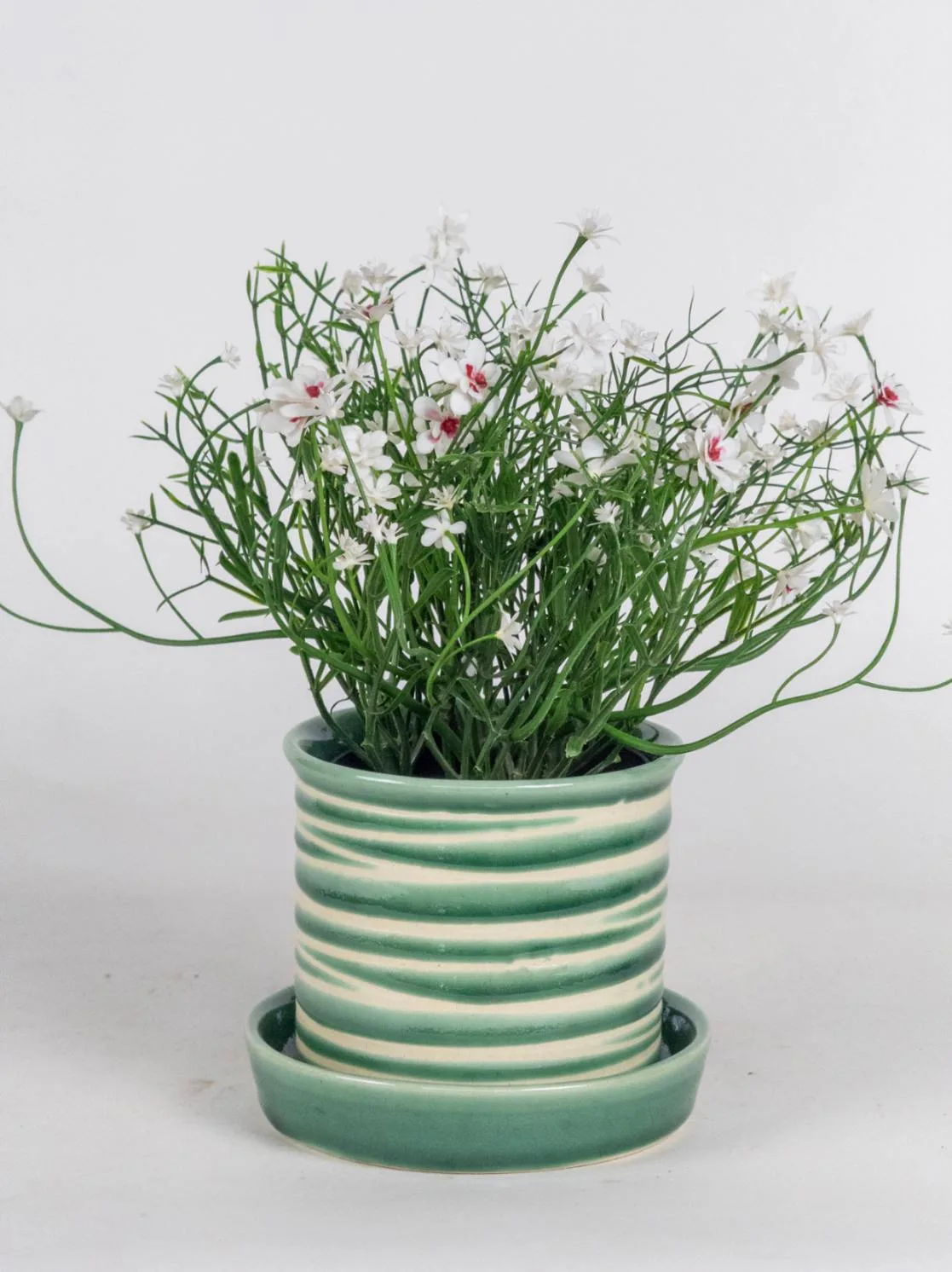 Classic Ceramic Planter — 5" Dia × 7.5" Height — Primary View