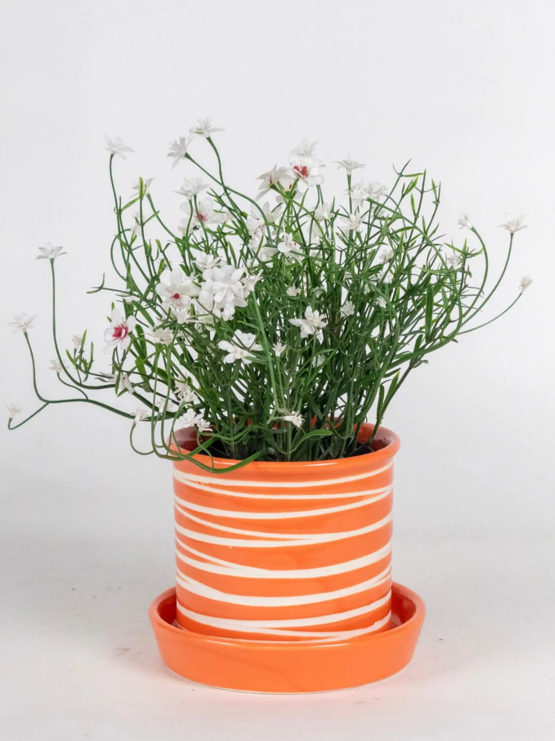 Classic Ceramic Planter — 9" Dia × 7" Height — Primary View