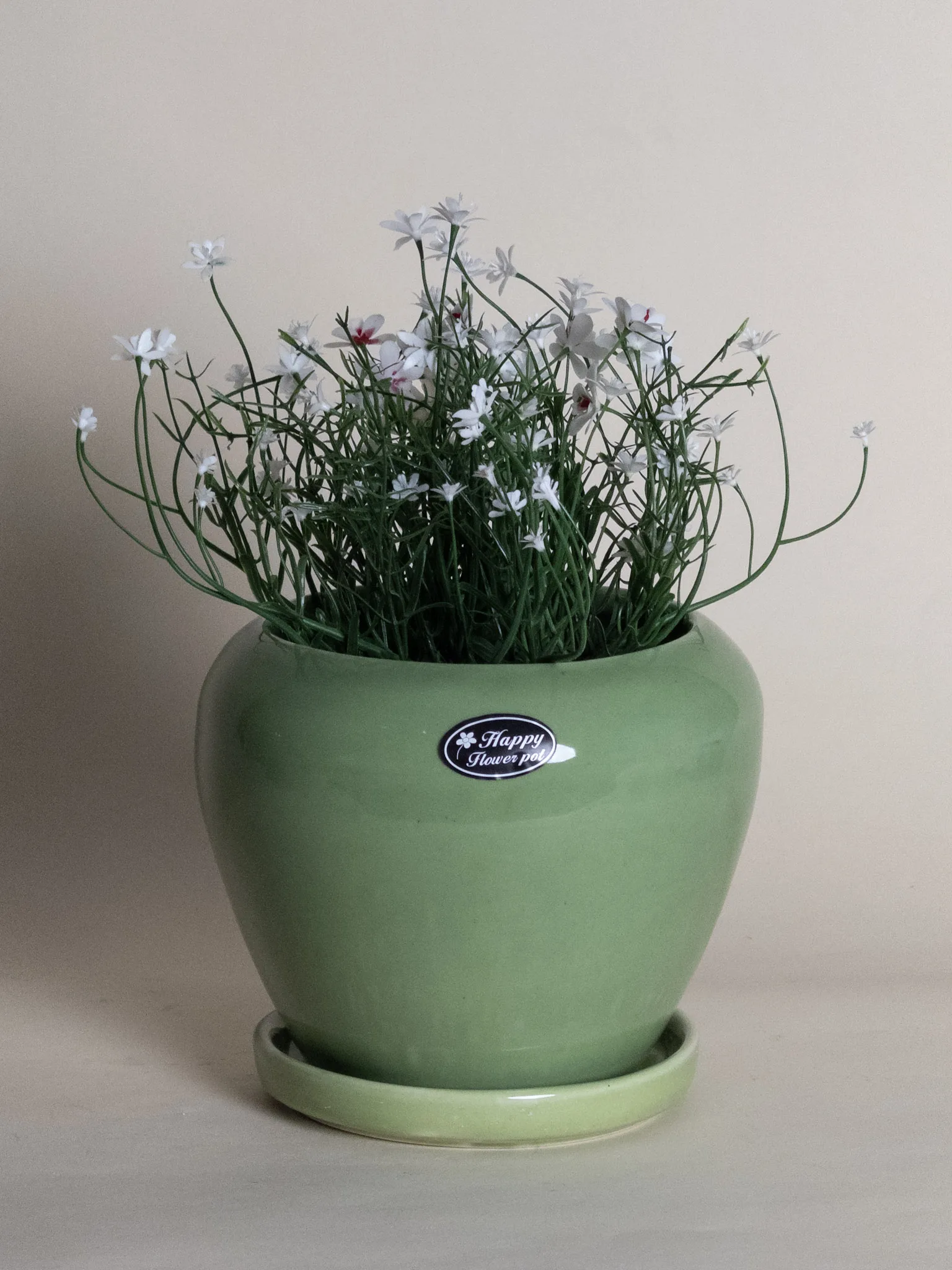 Classic Ceramic Planter — 3" Dia × 3" Height — Primary View