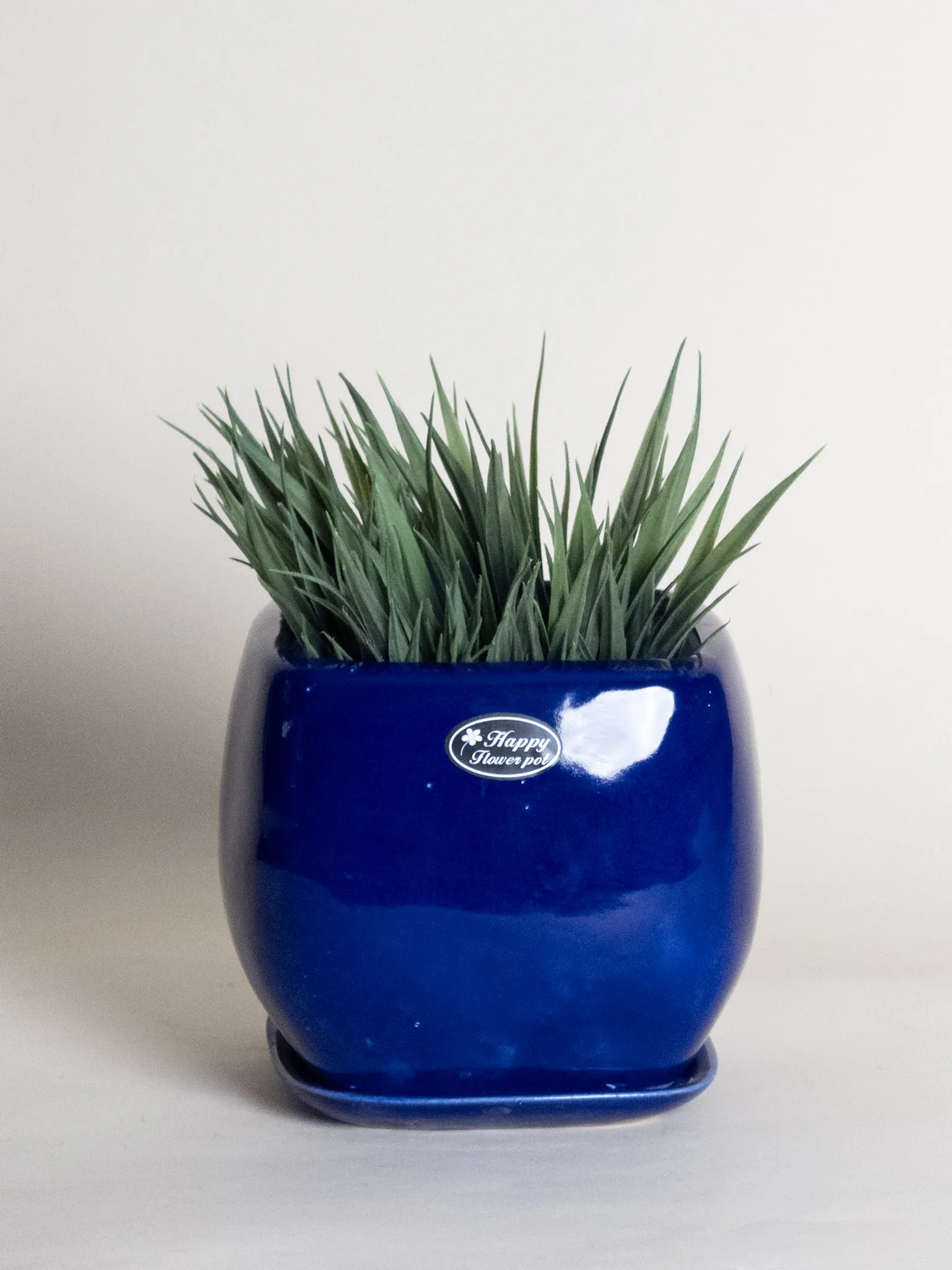 Classic Ceramic Planter — 3" Dia × 3" Height — Primary View