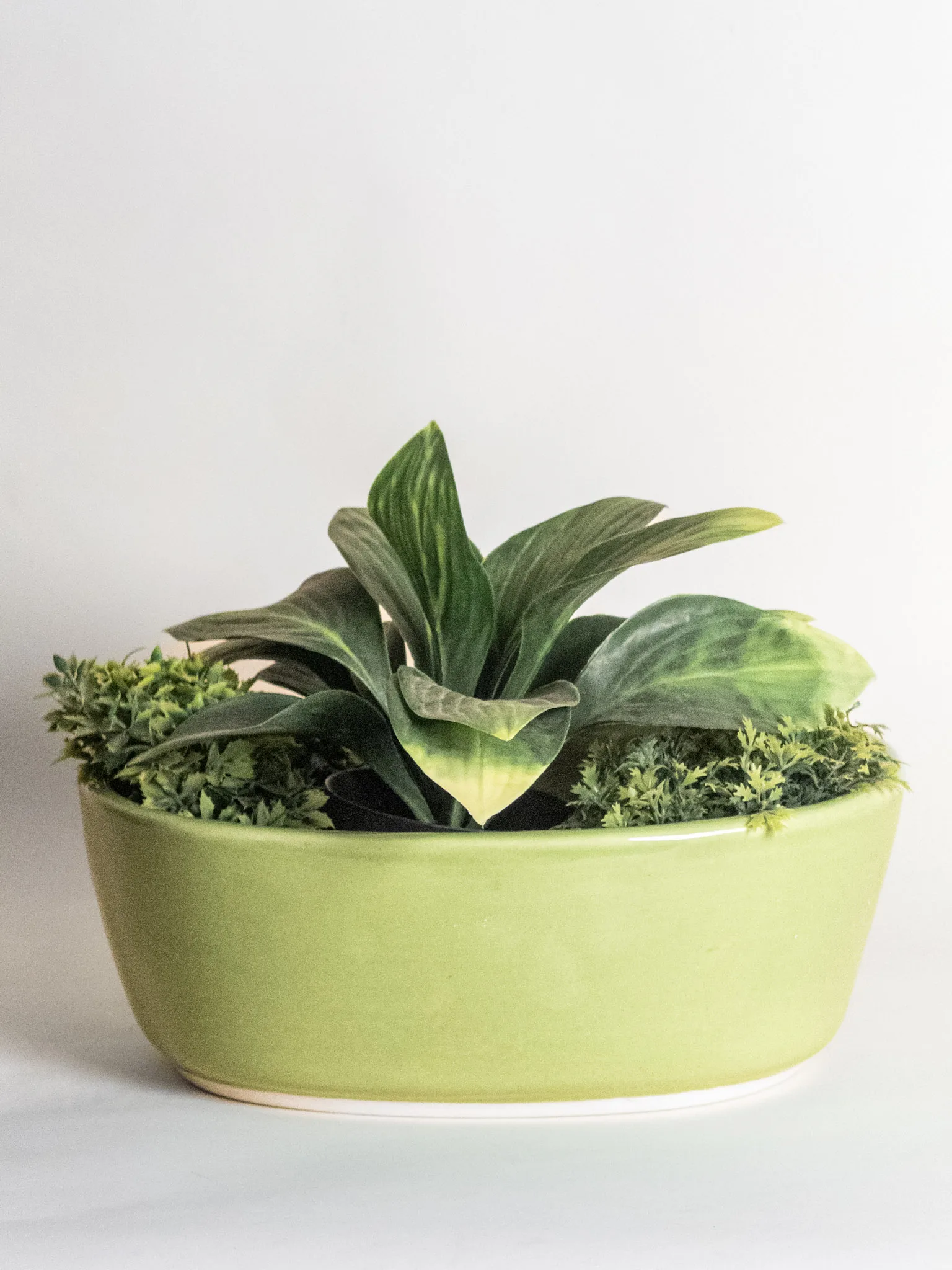 Classic Ceramic Planter — 6" Dia × 5" Height — Primary View