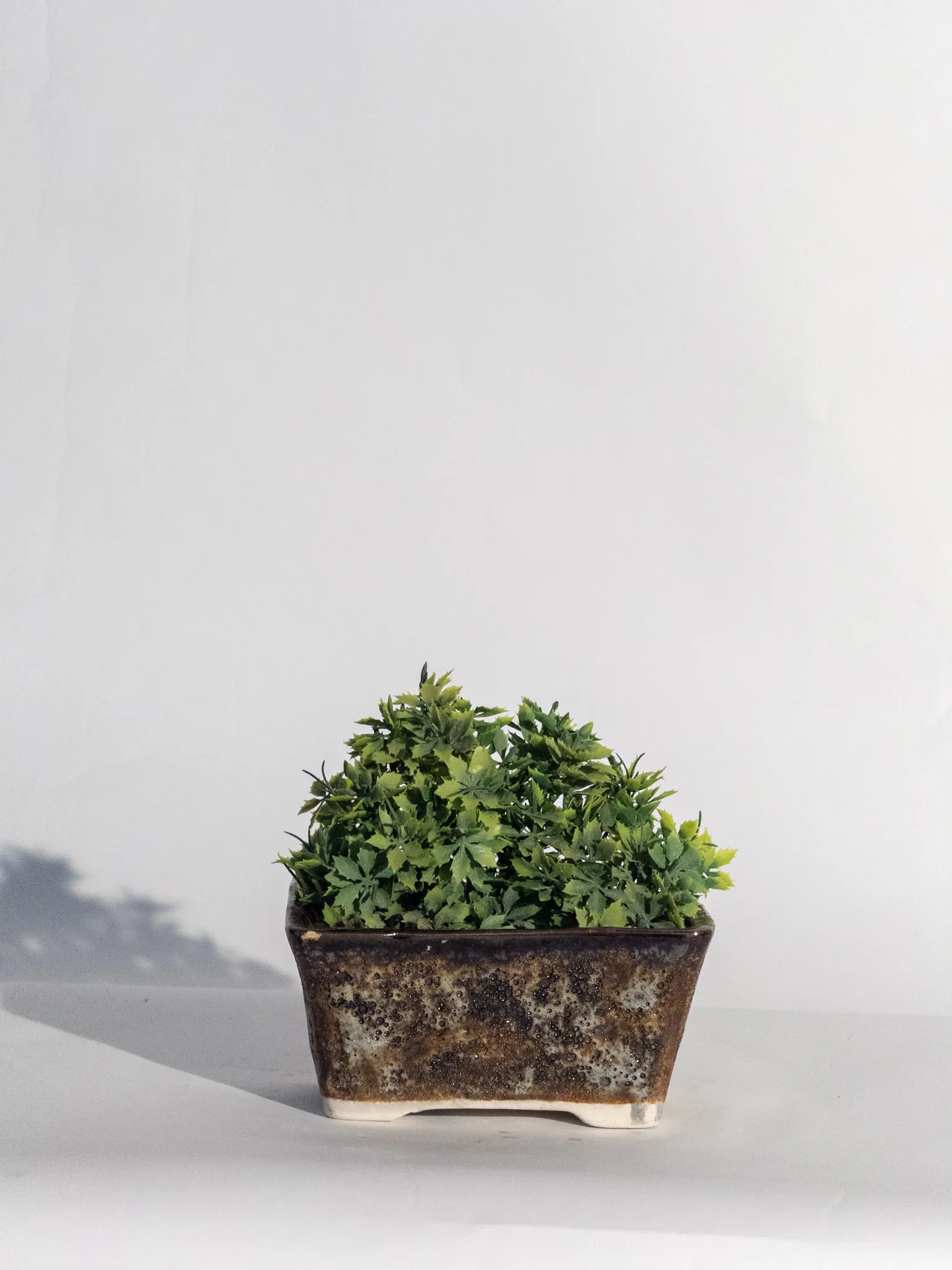 Classic Ceramic Planter — 9.5" Dia × 13.5" Height — Primary View