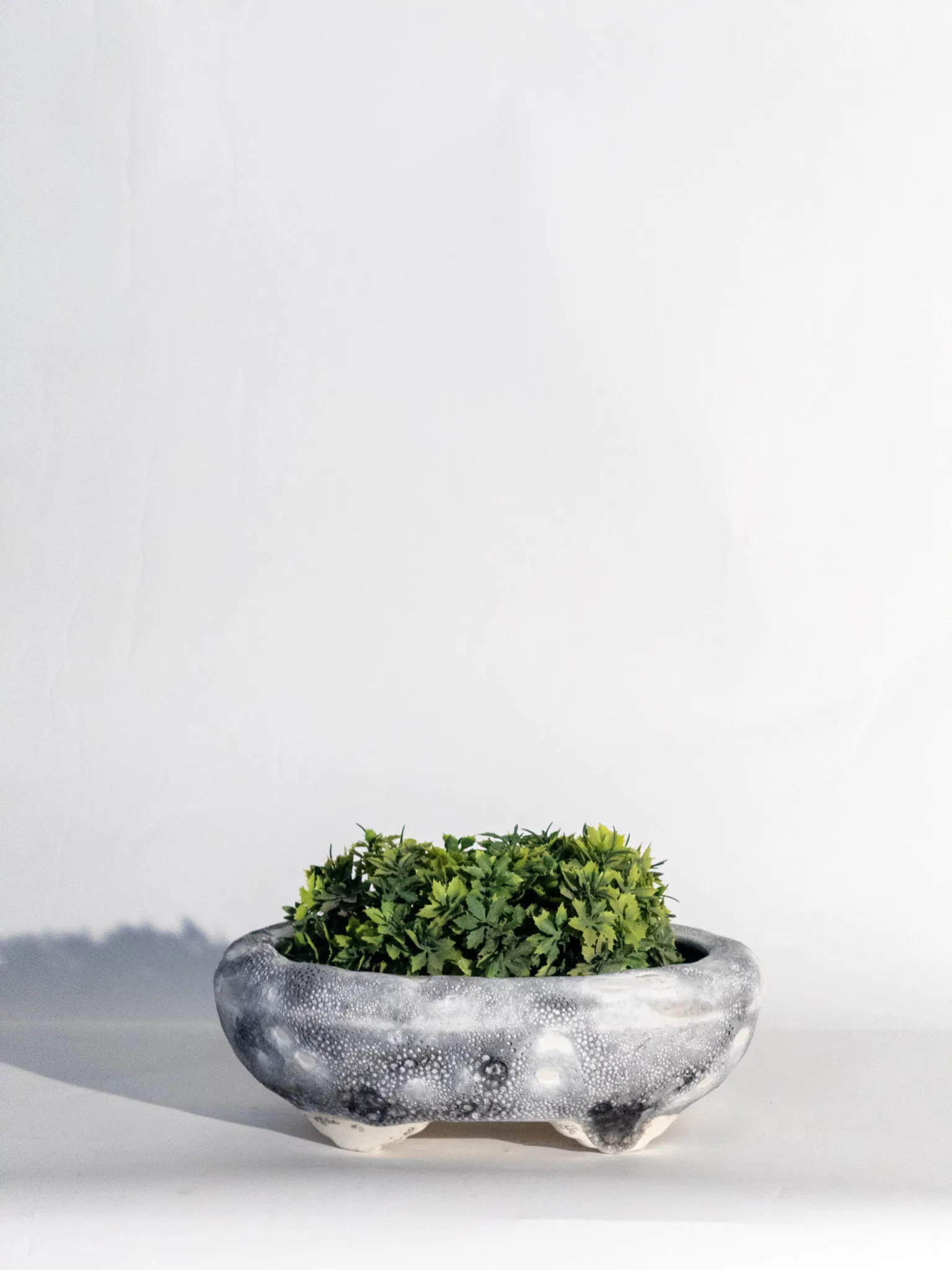 Classic Ceramic Planter — 9.5" Dia × 13.5" Height — Primary View