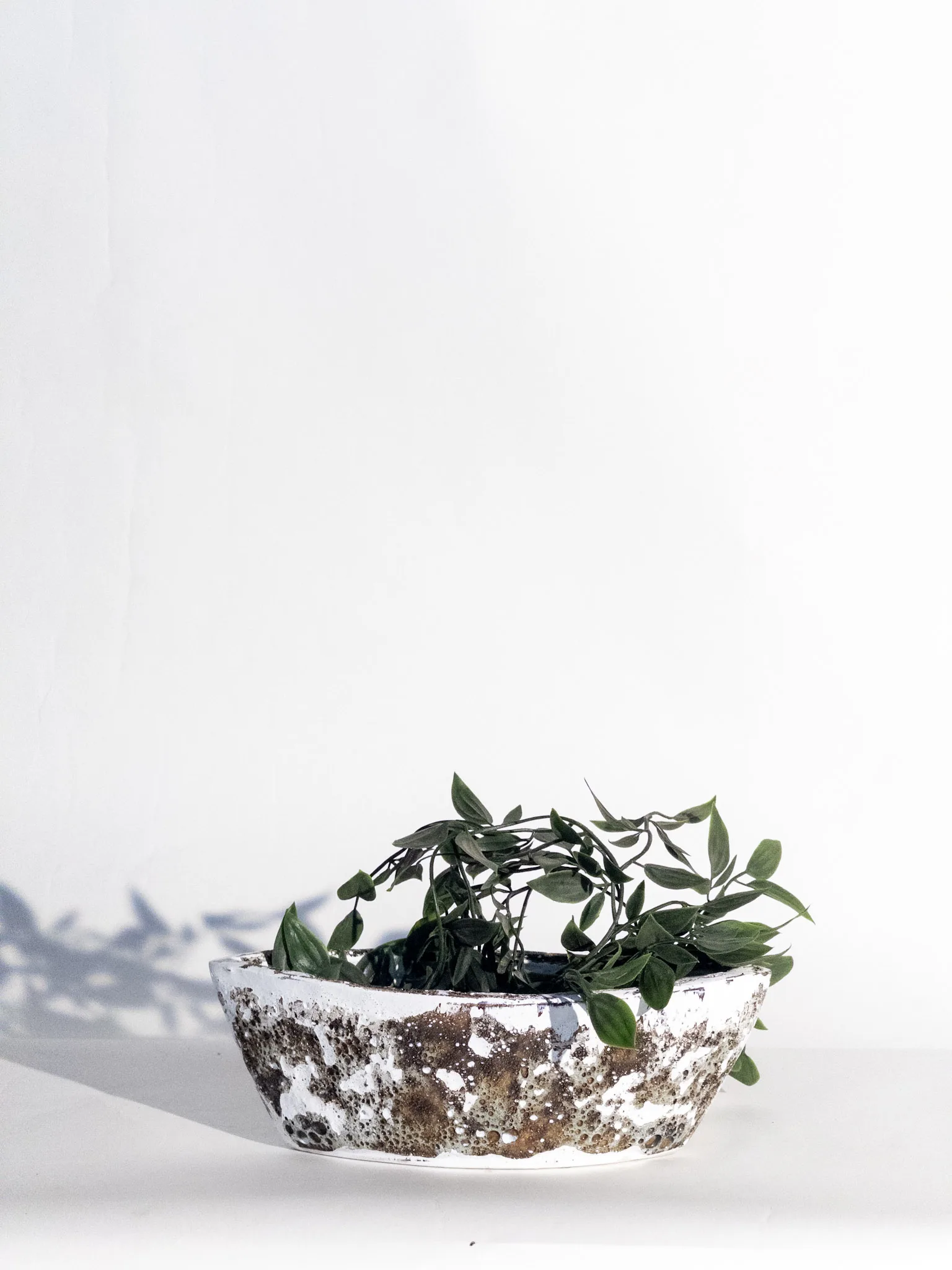 Classic Ceramic Planter — 9.5" Dia × 13.5" Height — Primary View