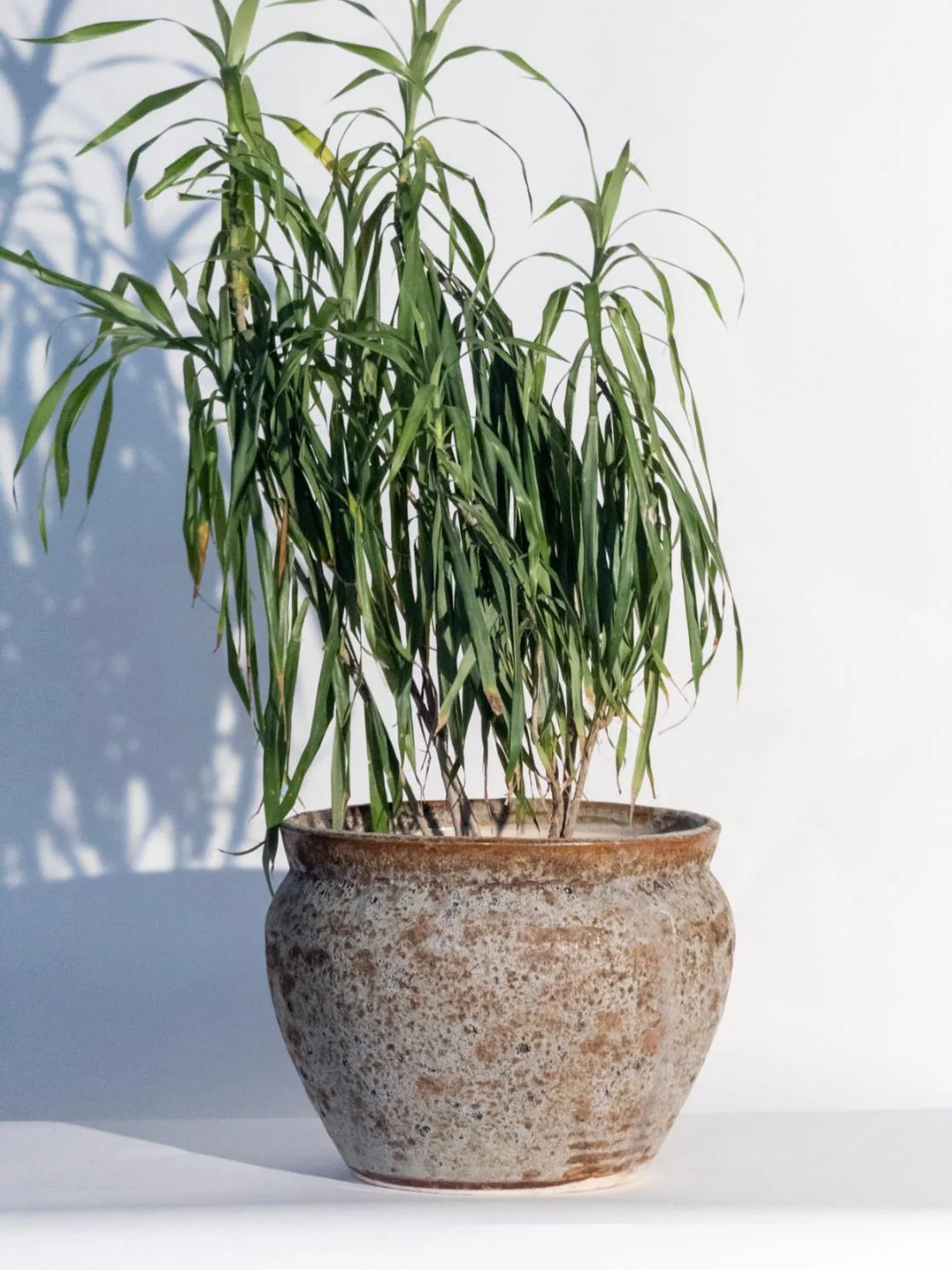 Classic Ceramic Planter — 9.5" Dia × 13.5" Height — Primary View