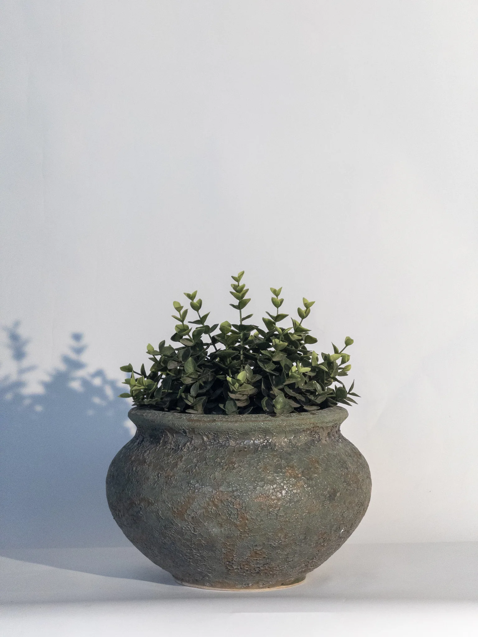 Classic Ceramic Planter — 6.5" Dia × 8.5" Height — Primary View