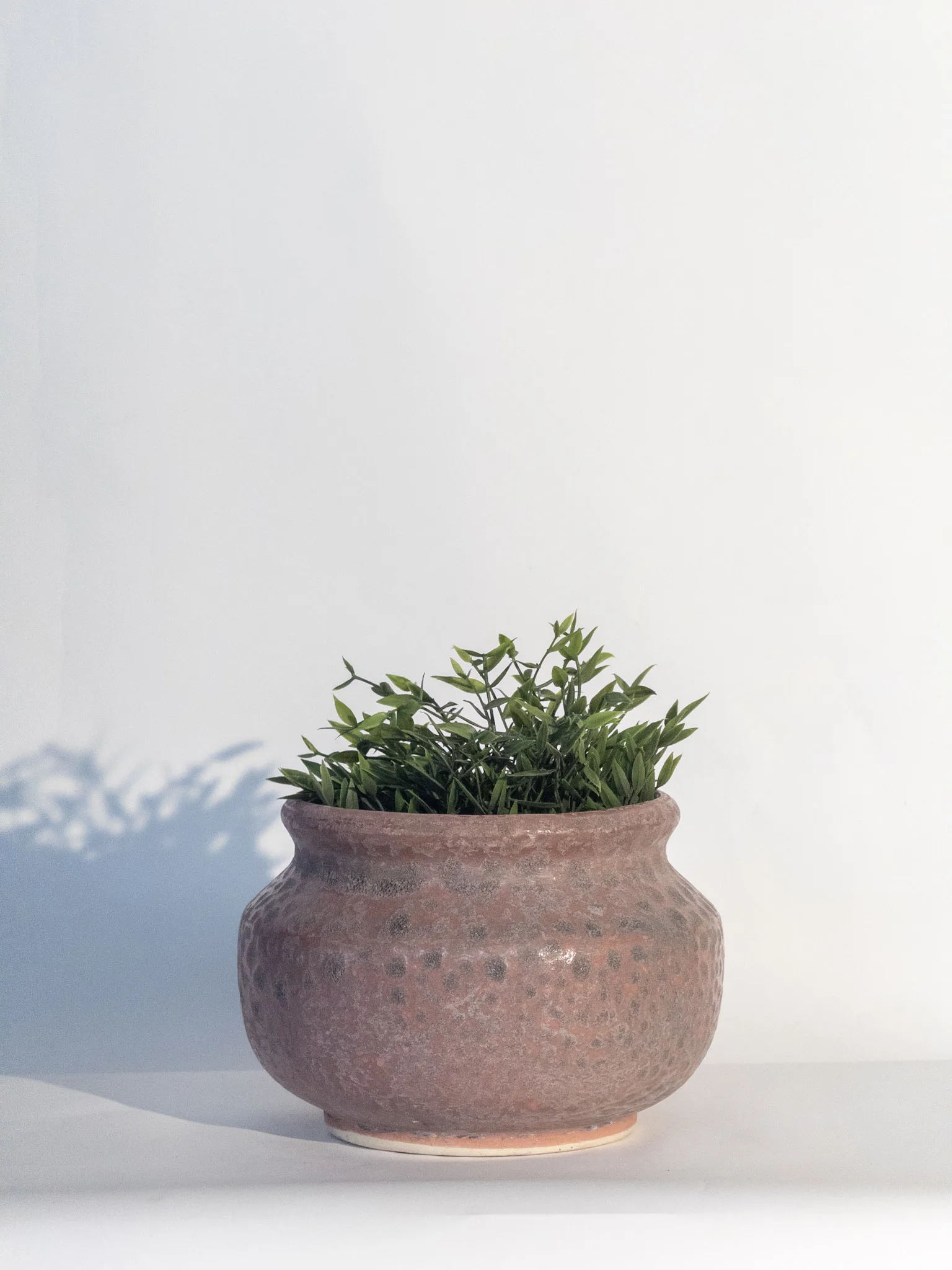 Classic Ceramic Planter — 11" Dia × 7.5" Height — Primary View
