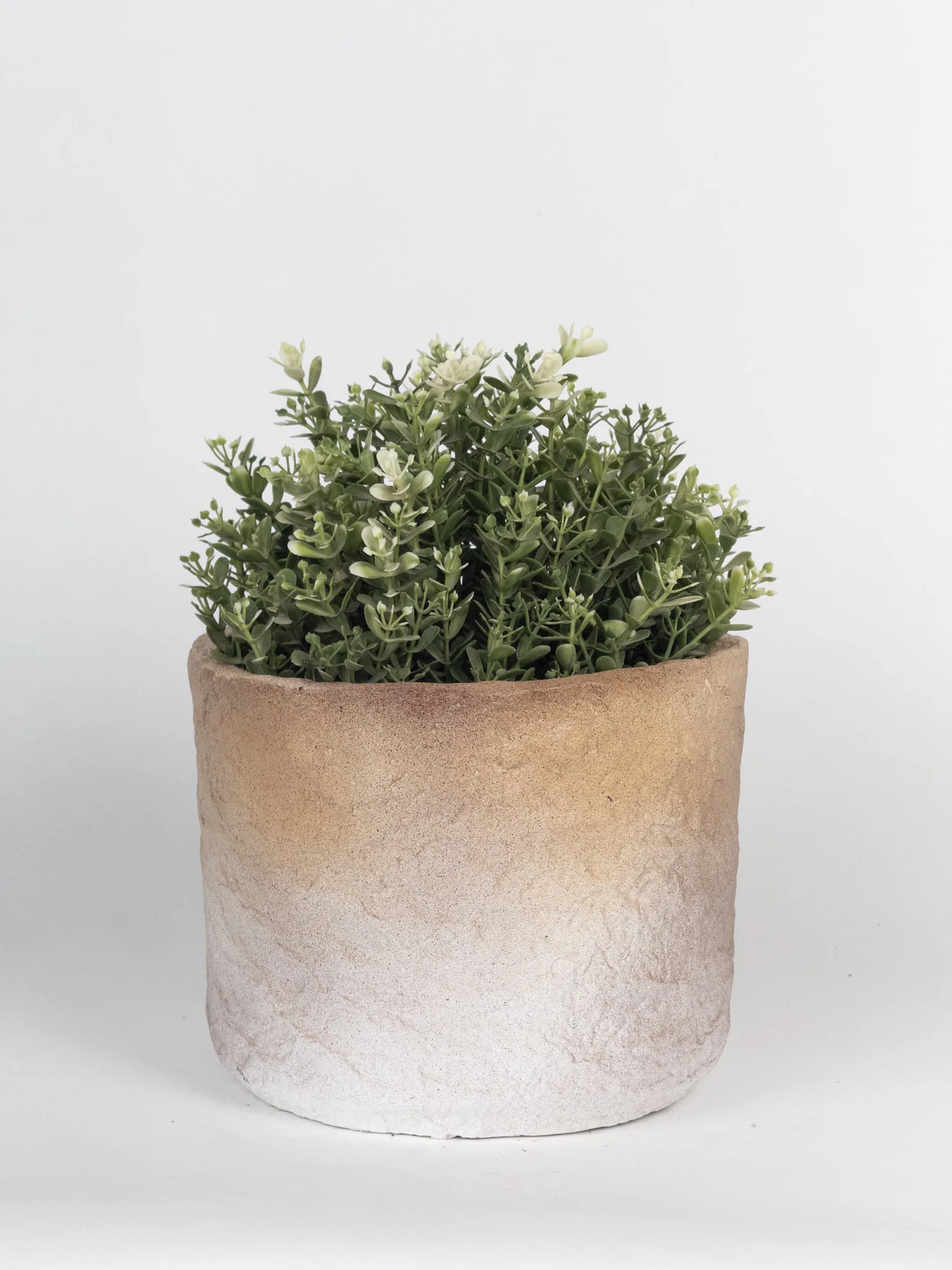 Classic Ceramic Planter Set of 3 (3" Dia) — Primary View