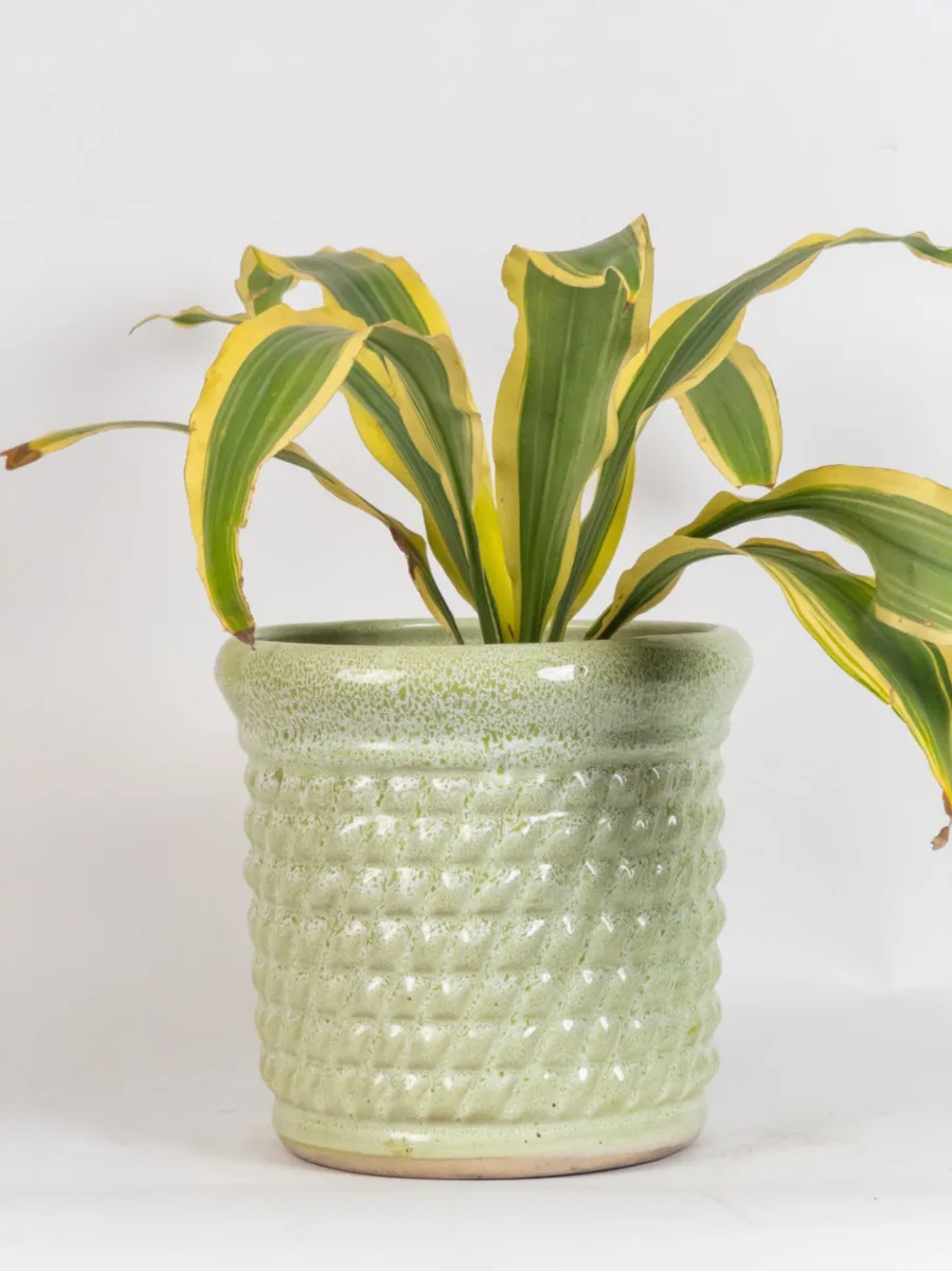 Classic Ceramic Planter — 10" Dia × 9" Height — Primary View