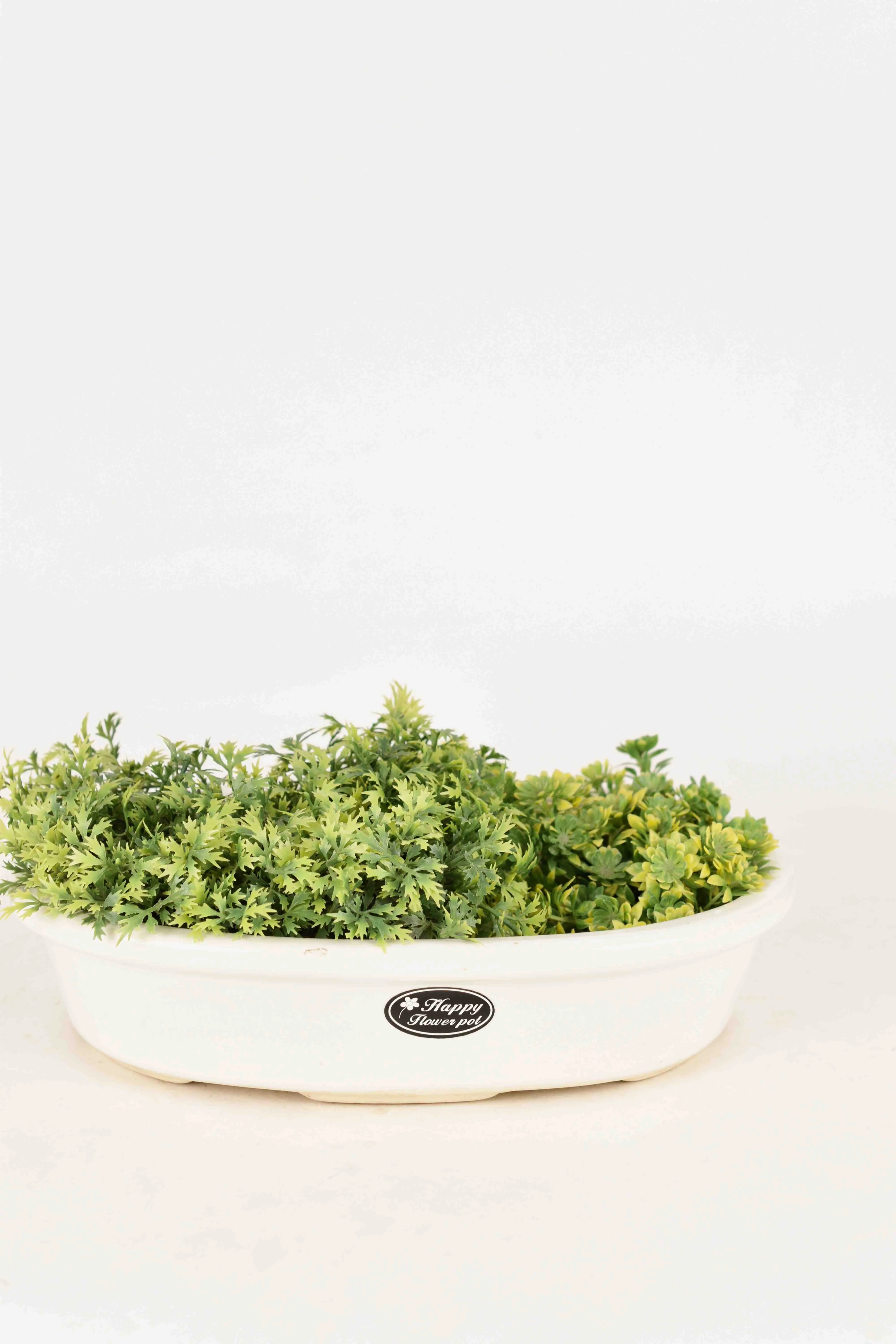 Classic Ceramic Planter — 5" Dia × 5" Height — Primary View