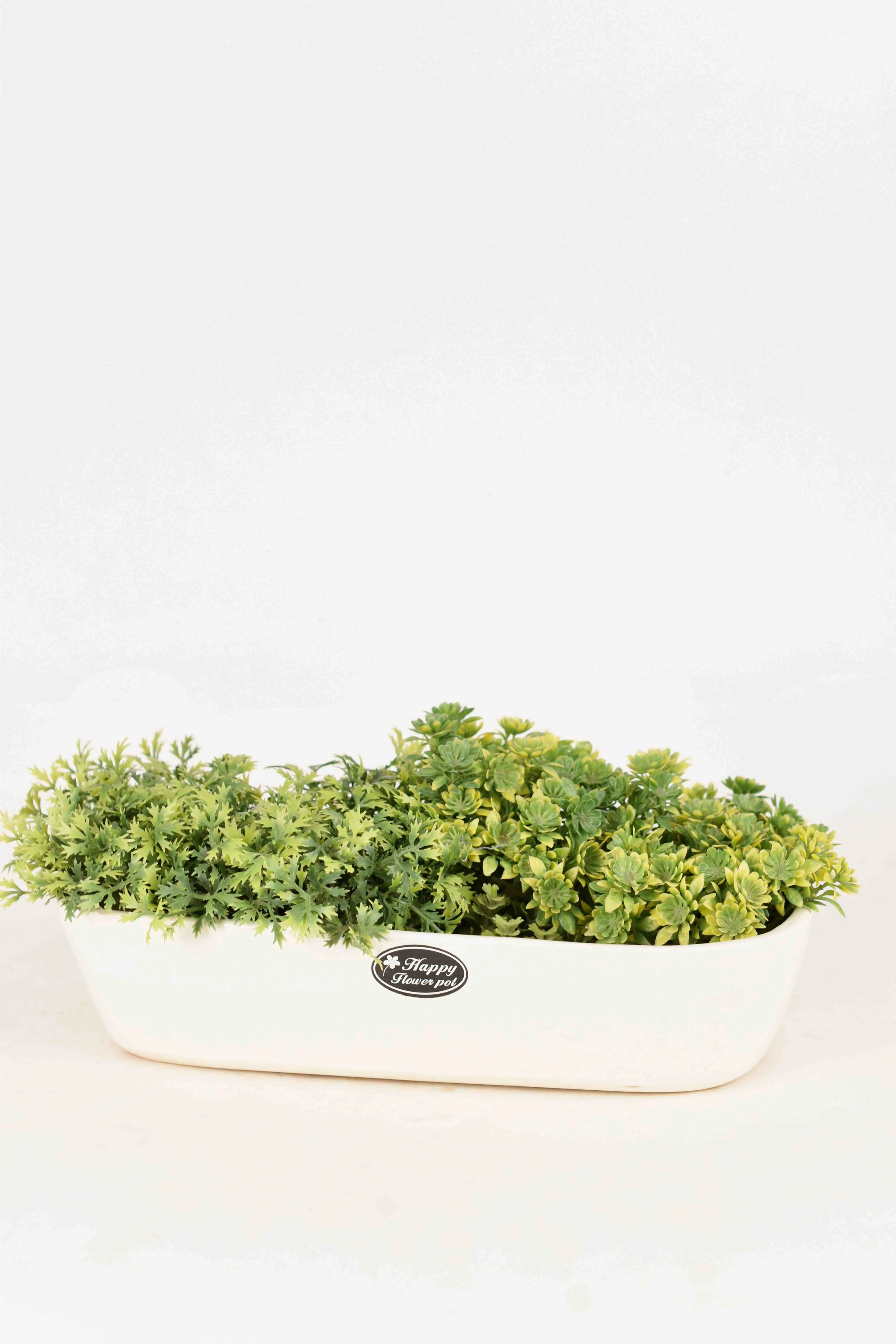 Classic Ceramic Planter — 7" Dia × 7.5" Height — Primary View