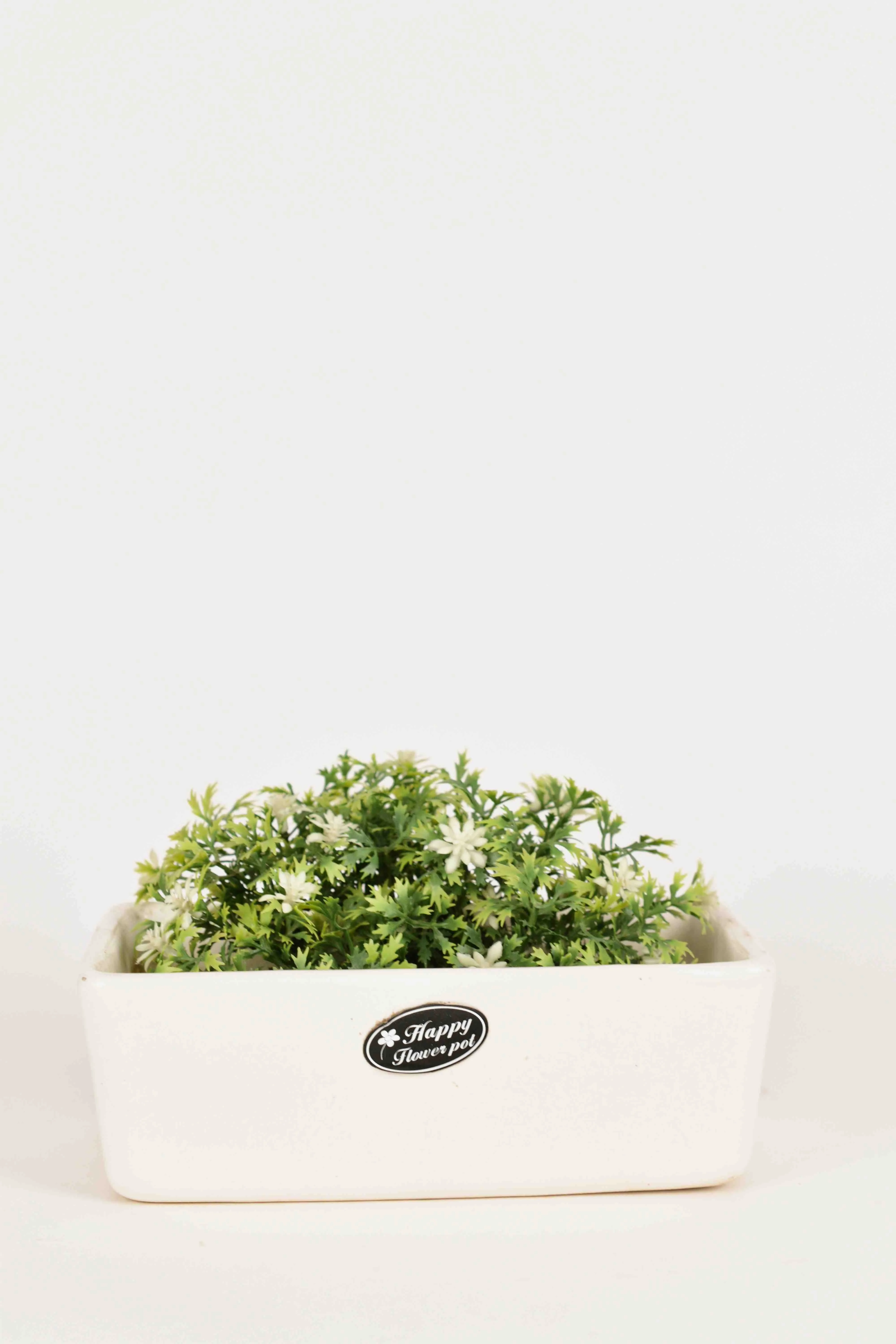 Classic Ceramic Planter — 3.5" Dia × 4" Height — Primary View