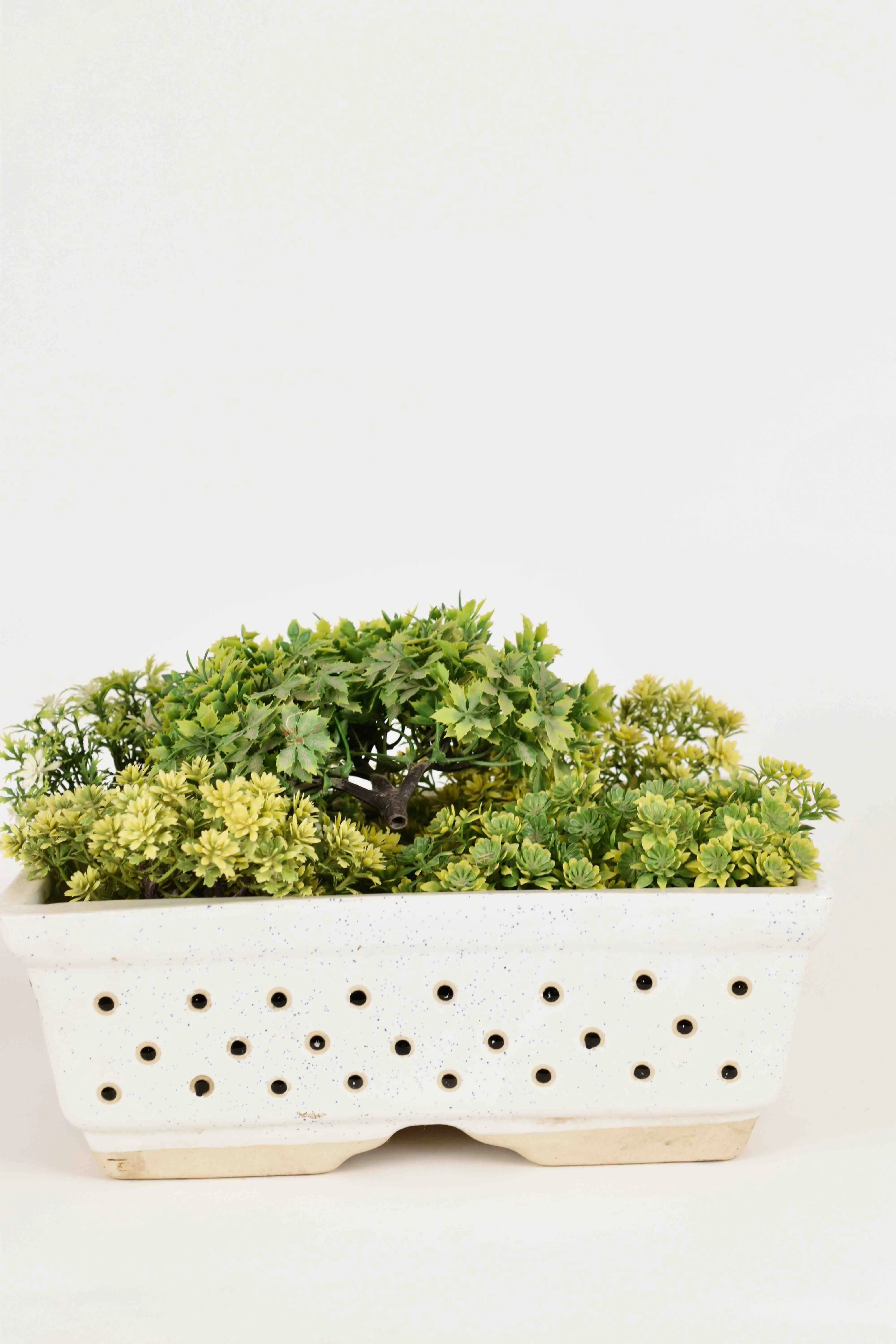 Classic Ceramic Planter — 3.5" Dia × 4" Height — Primary View