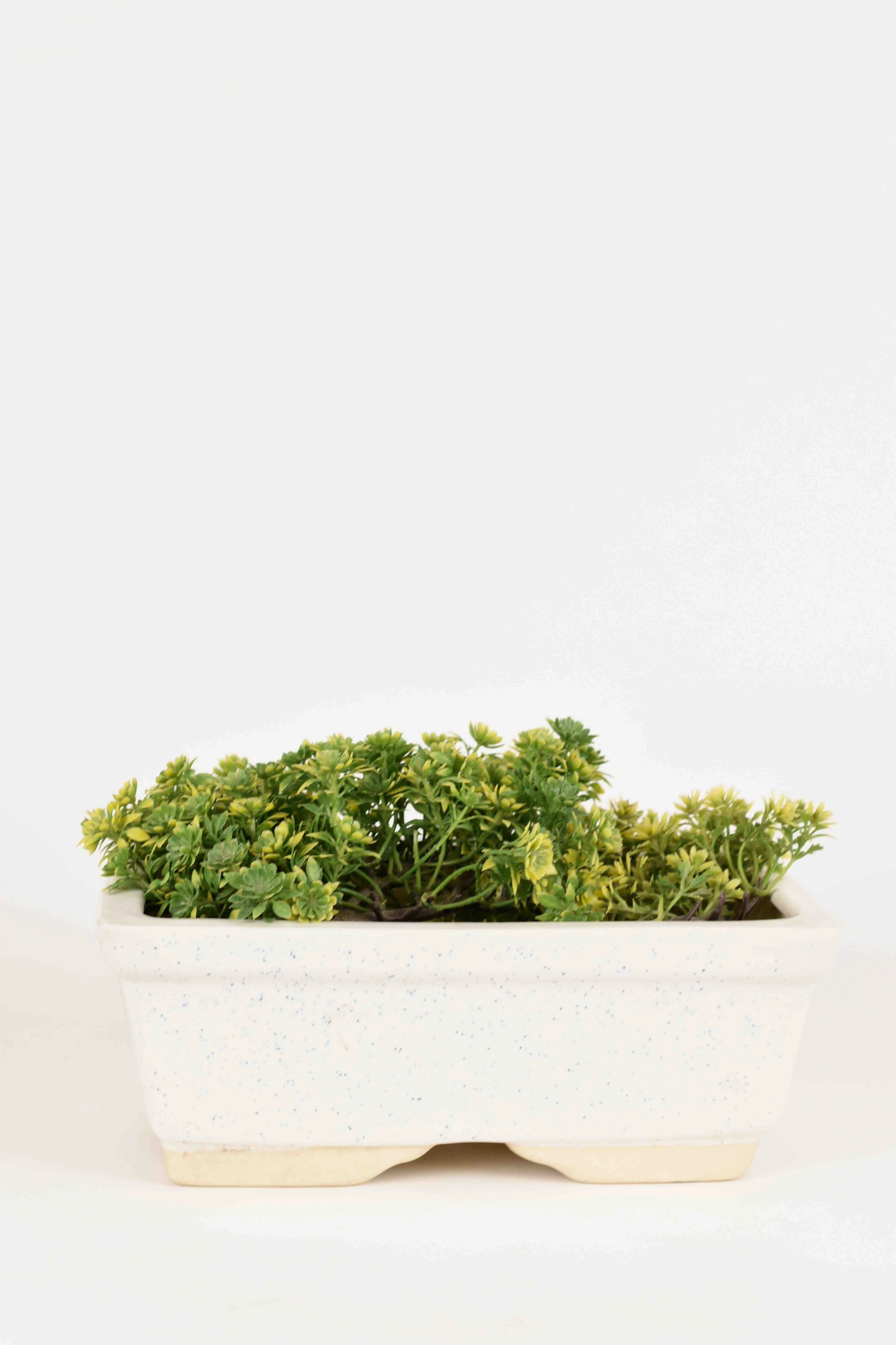 Classic Ceramic Planter — 6.5" Dia × 7" Height — Primary View