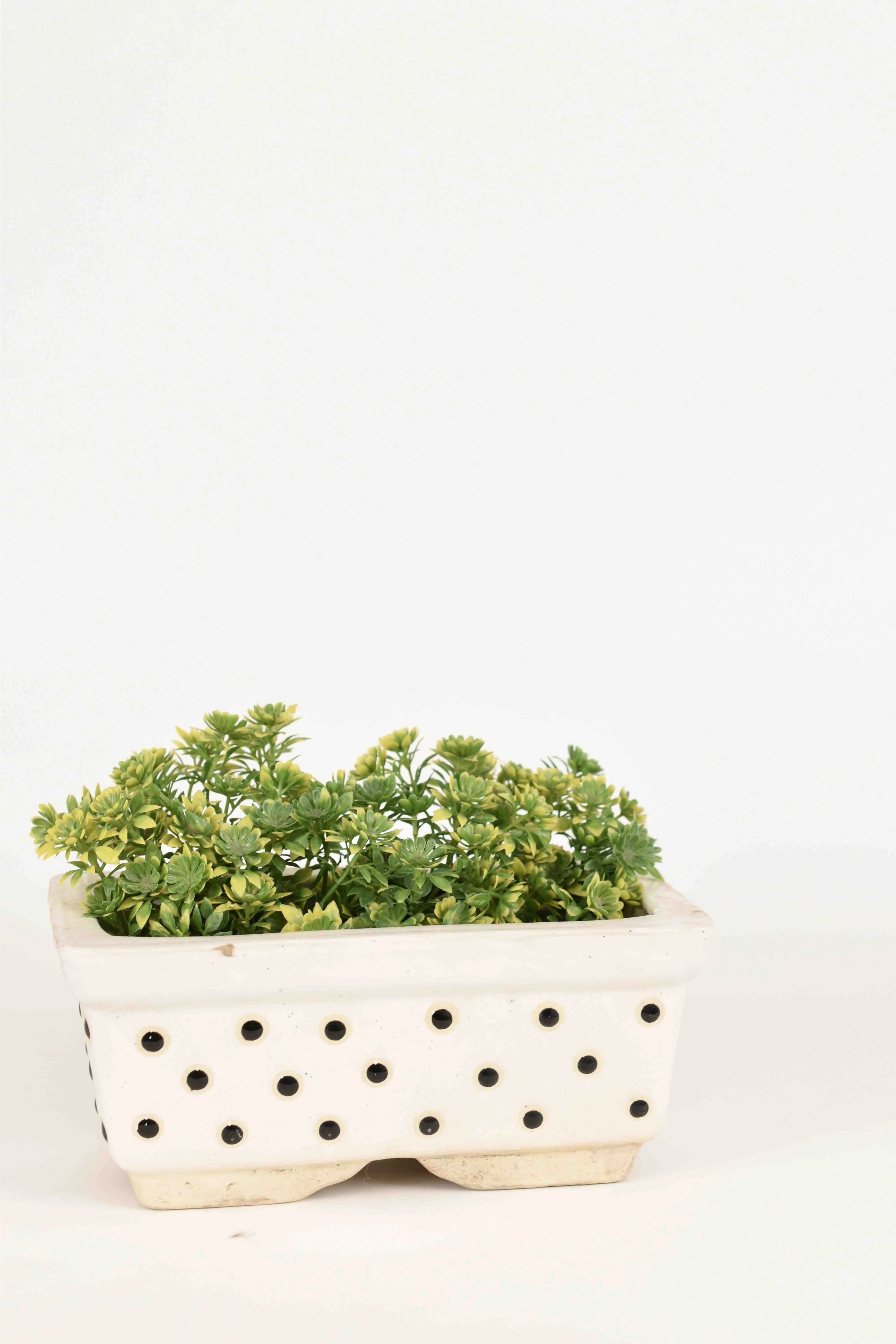 Classic Ceramic Planter — 4" Dia × 4" Height — Primary View