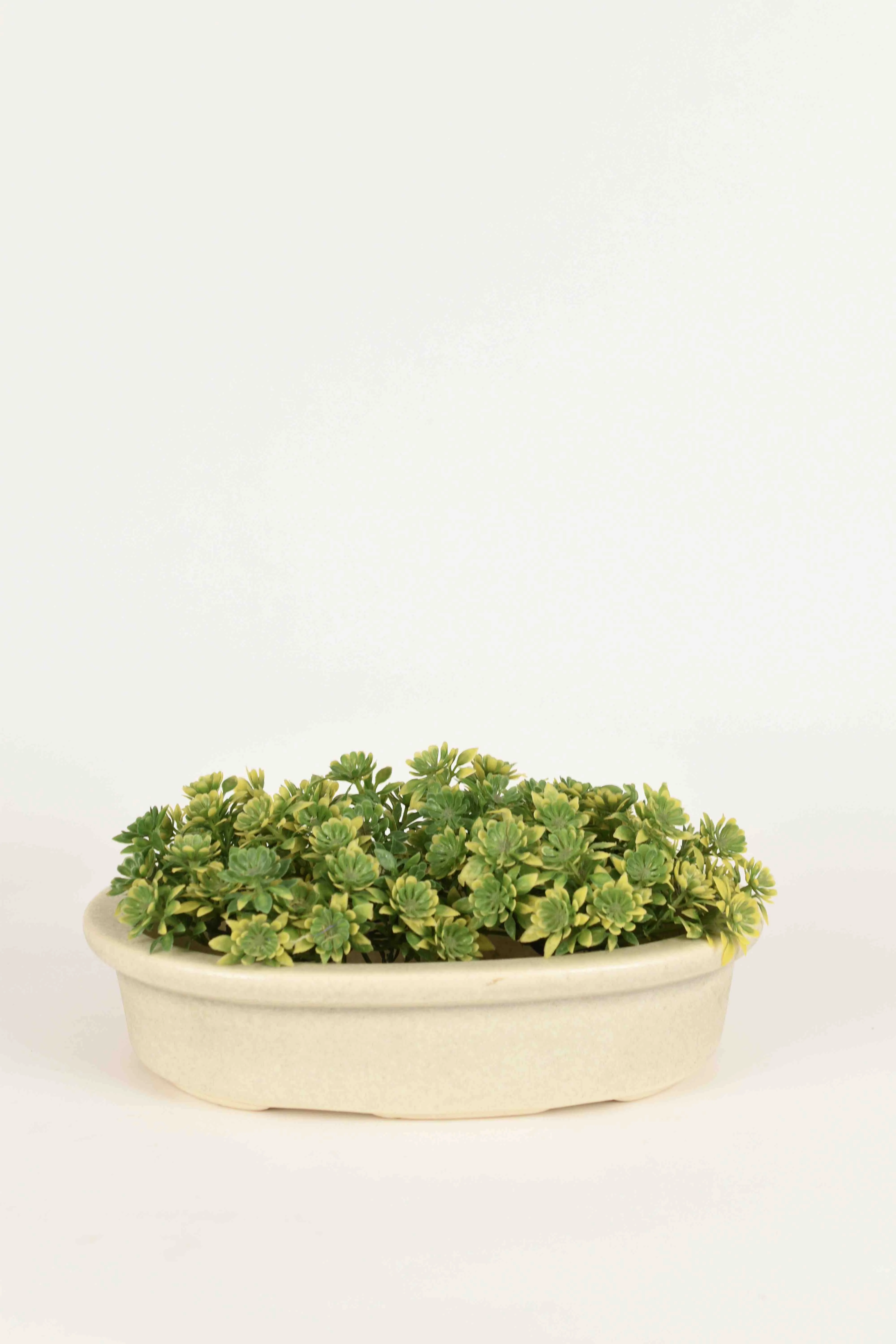 Classic Ceramic Planter — 7" Dia × 4" Height — Primary View