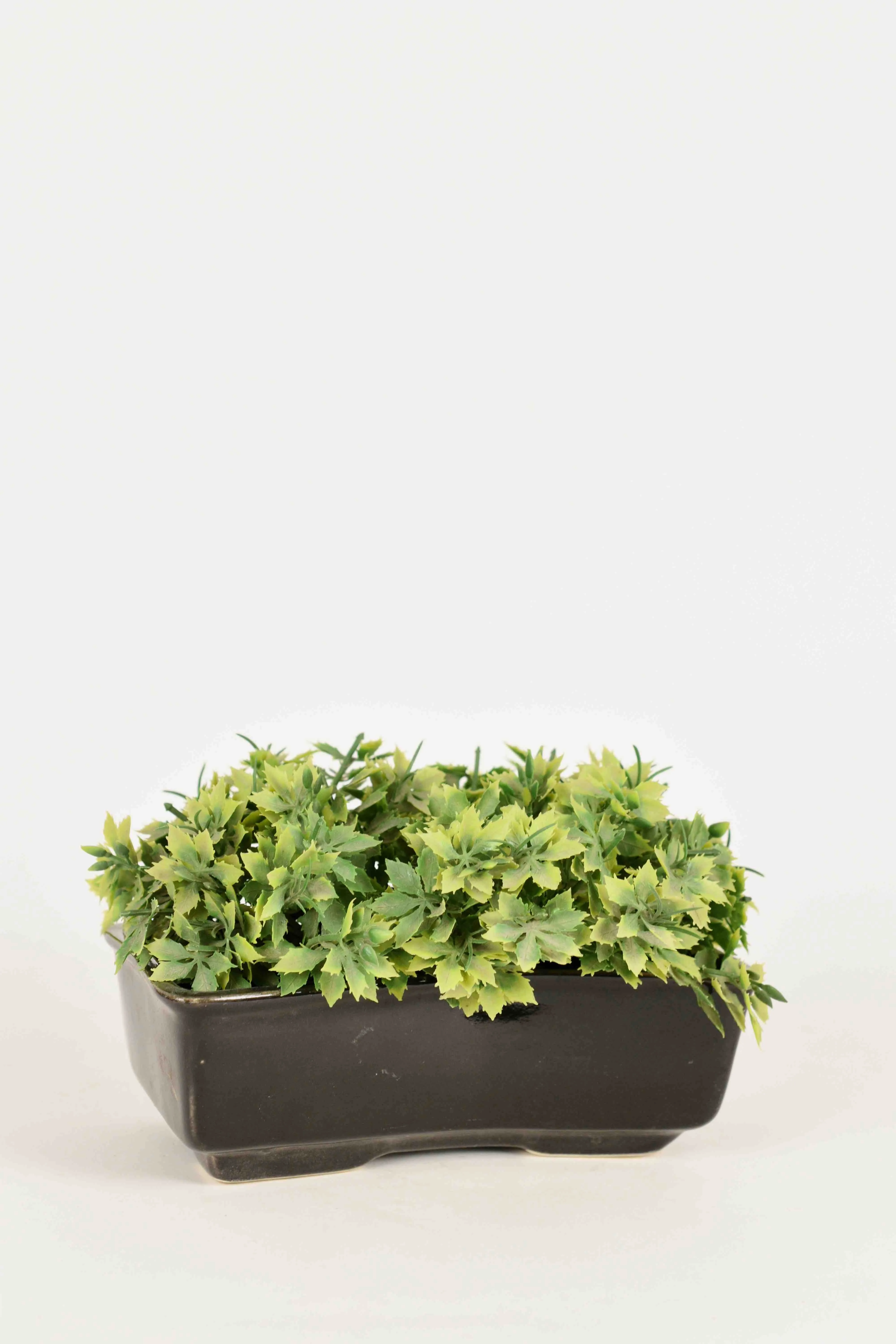 Classic Ceramic Planter — 4.5" Dia × 4" Height — Primary View