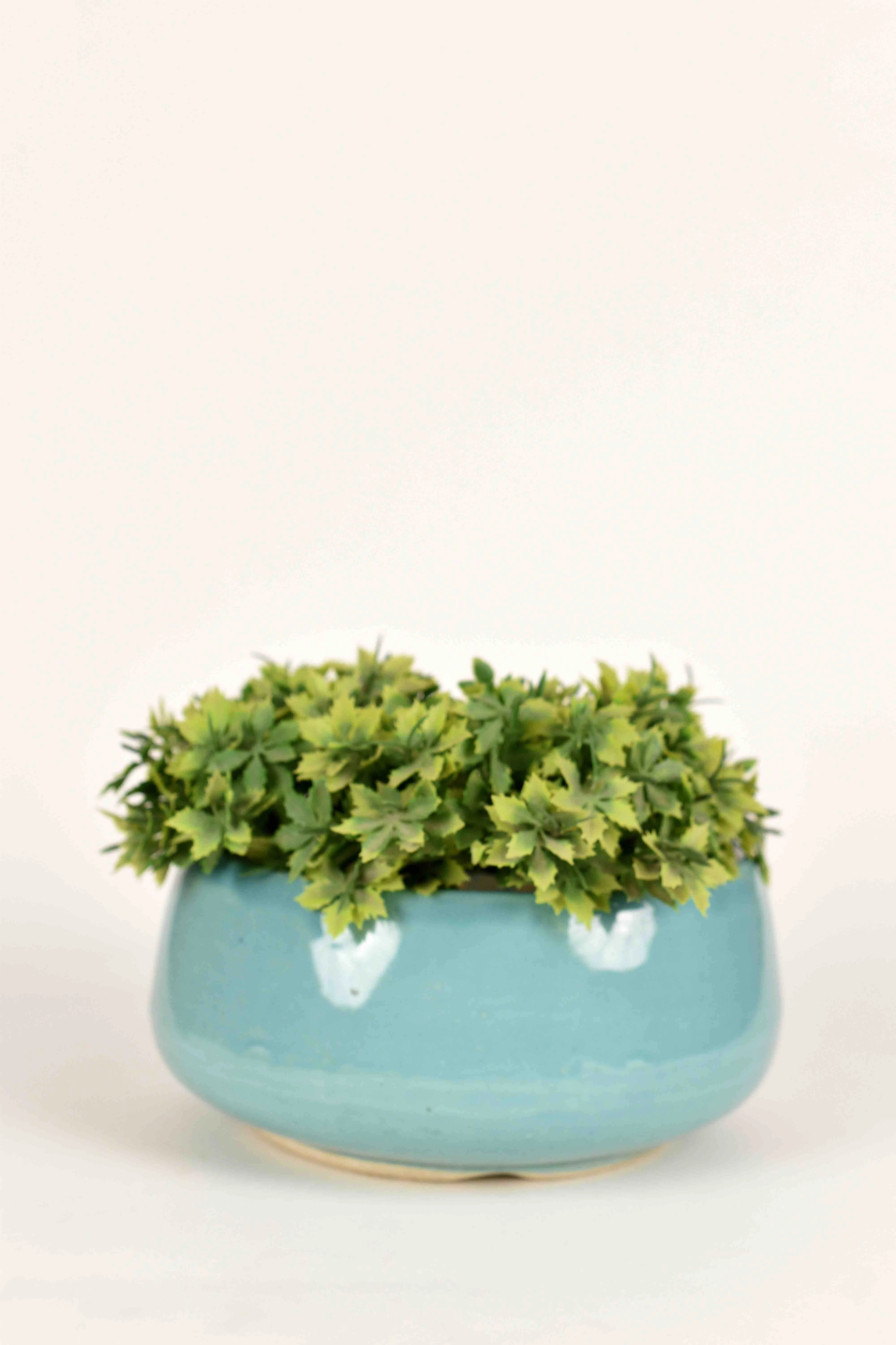 Classic Ceramic Planter — 7" Dia × 7" Height — Primary View