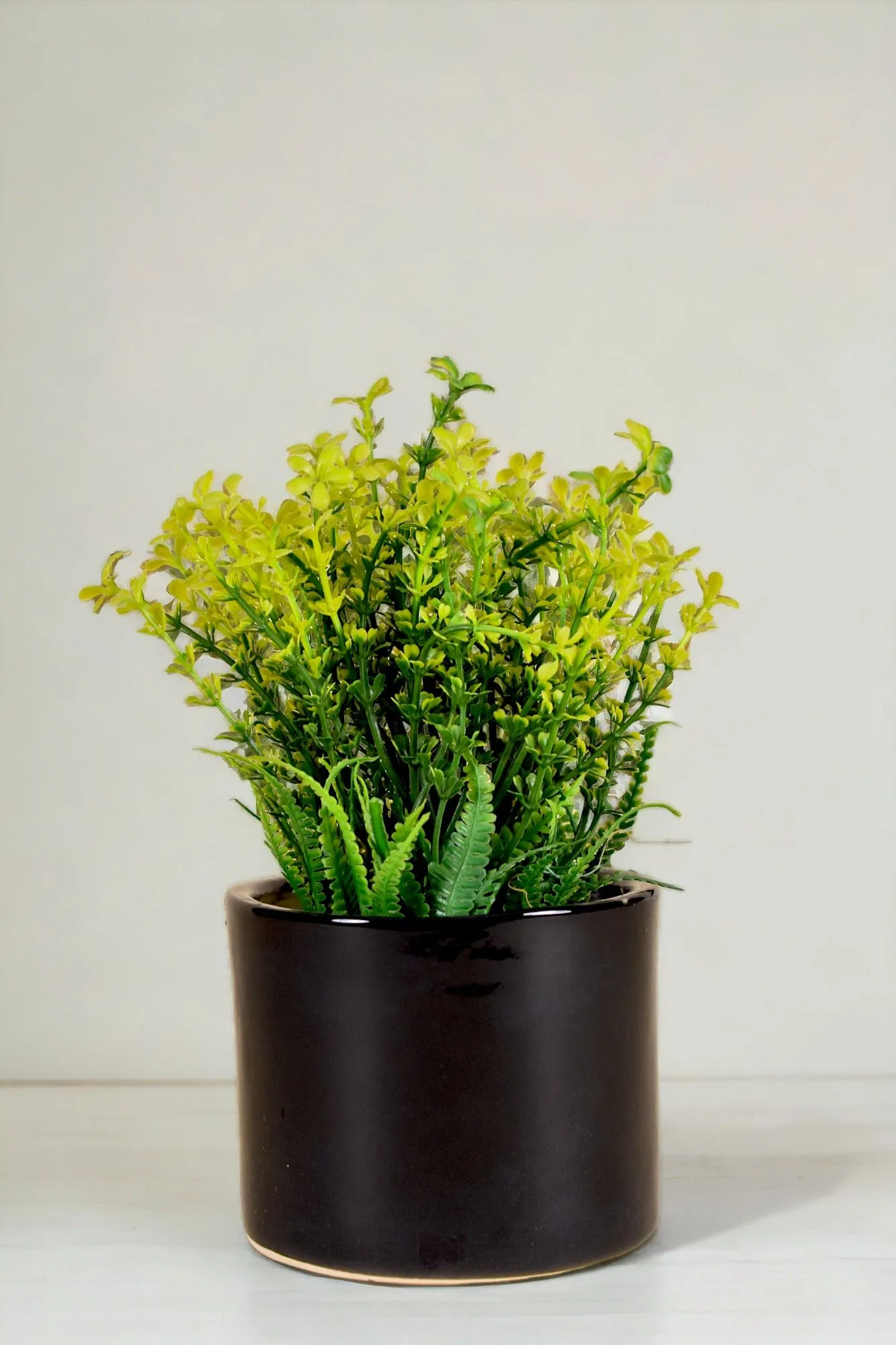 Classic Ceramic Planter — 5.5" Dia × 5" Height — Primary View