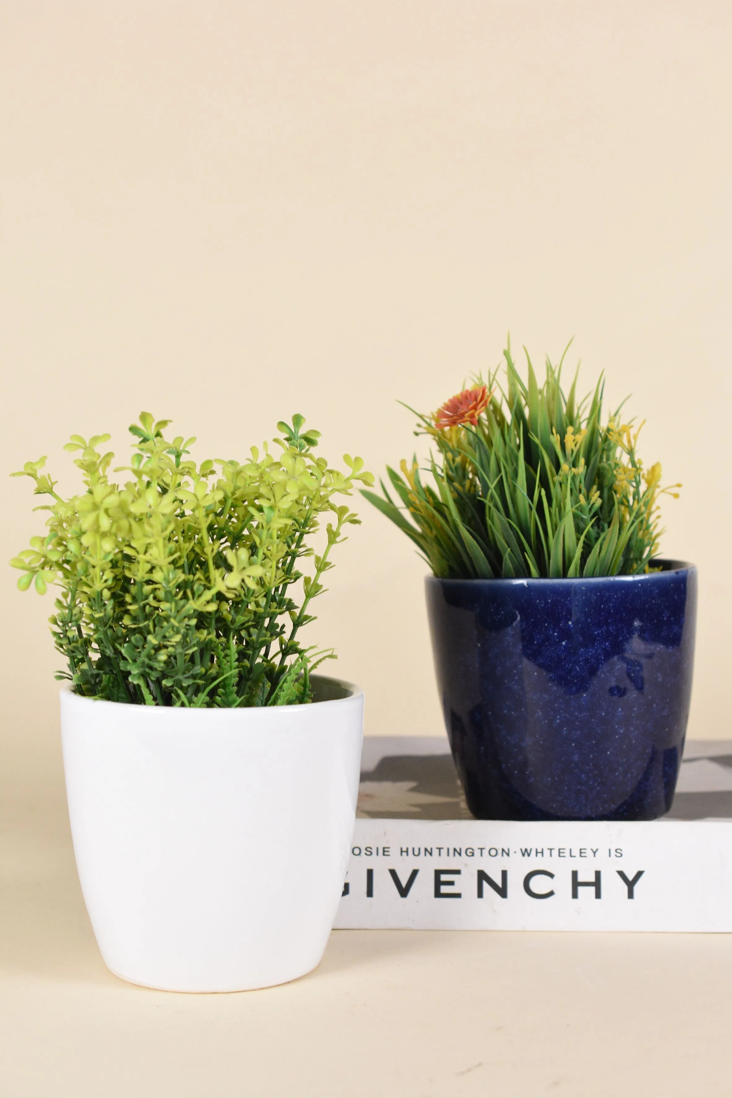 Classic Ceramic Planter — 5" Dia × 5" Height — Primary View