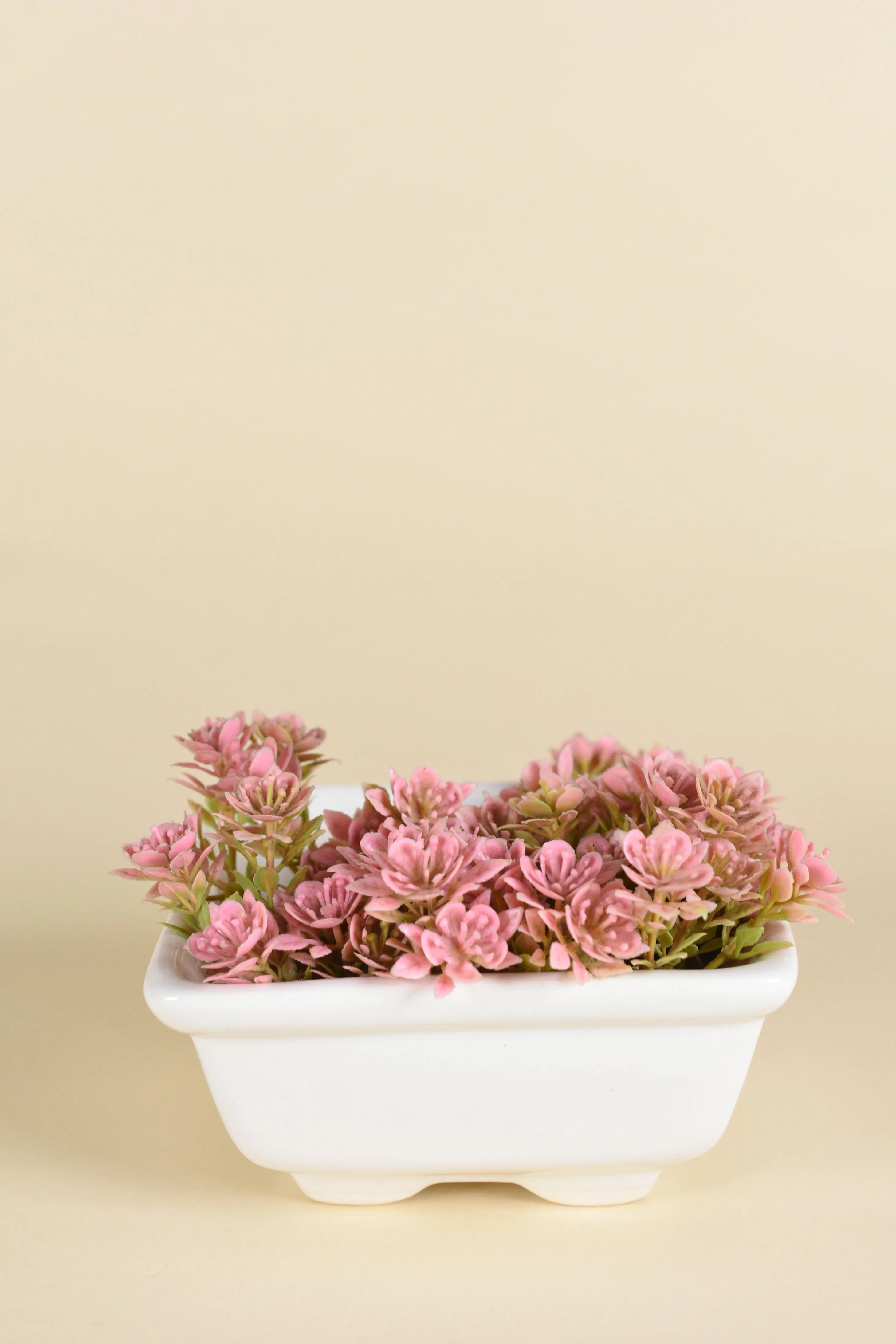 Classic Ceramic Planter — 5" Dia × 4.5" Height — Primary View