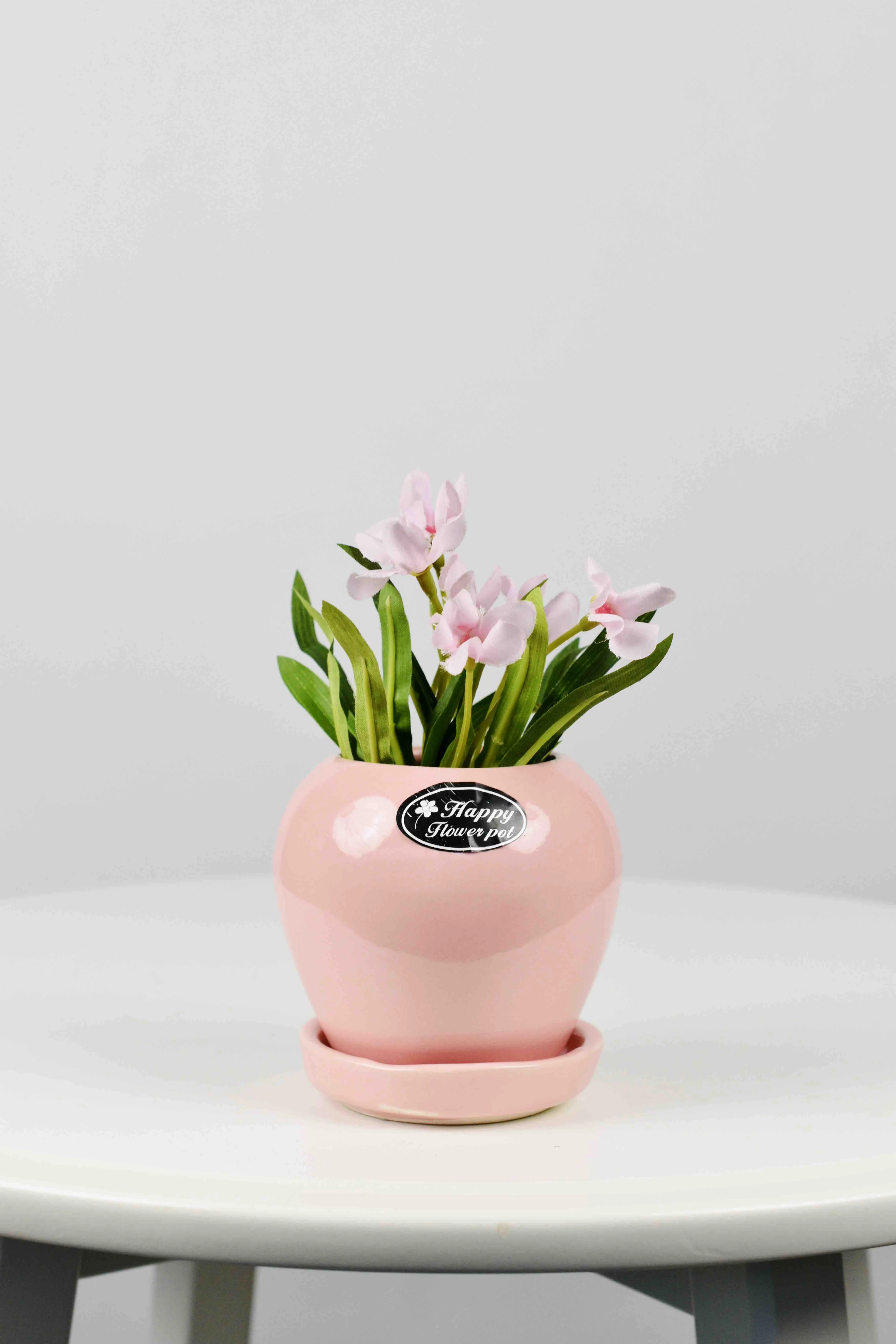 Classic Ceramic Planter — 5" Dia × 4.5" Height — Primary View