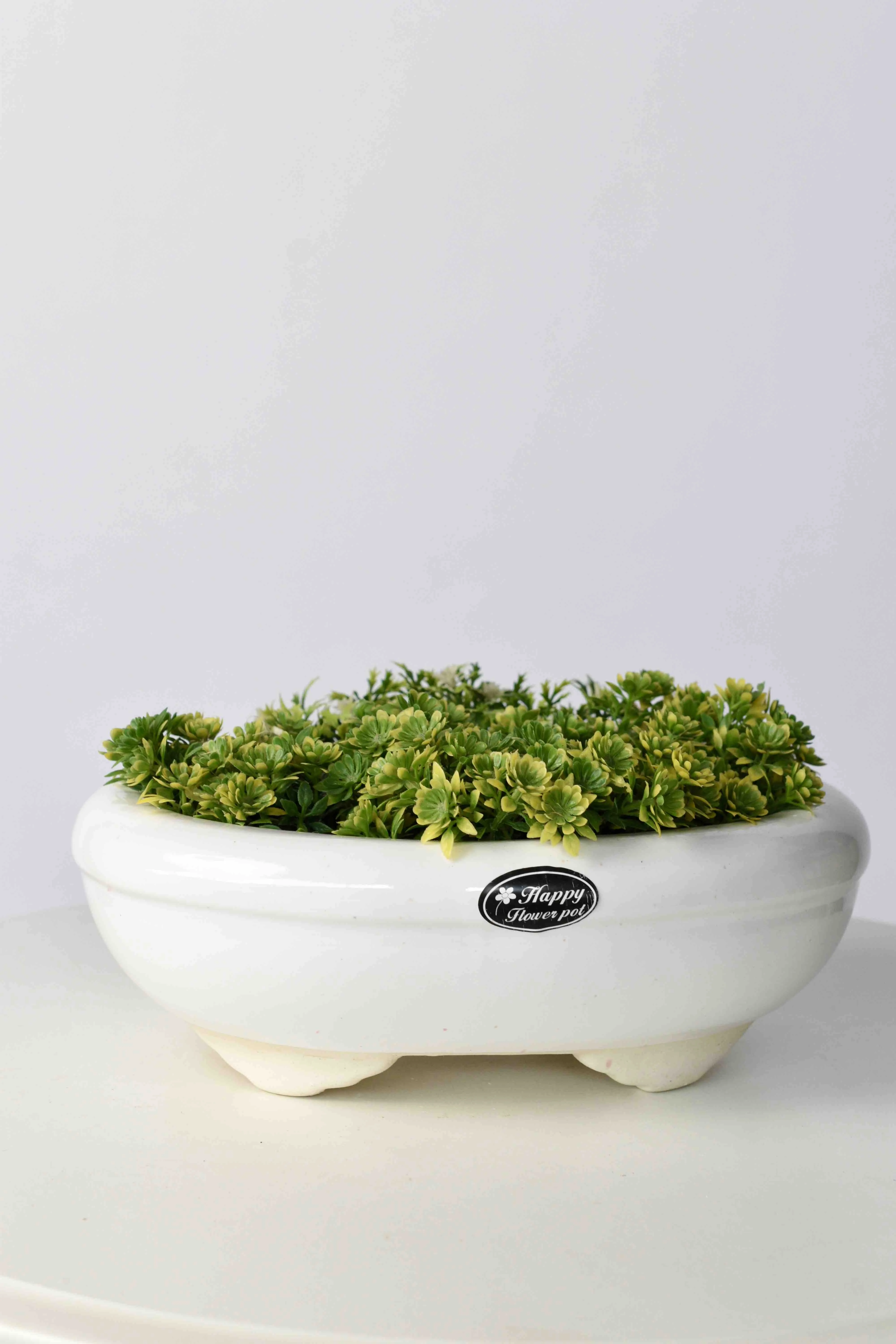 Classic Ceramic Planter — 5.5" Dia × 4" Height — Primary View