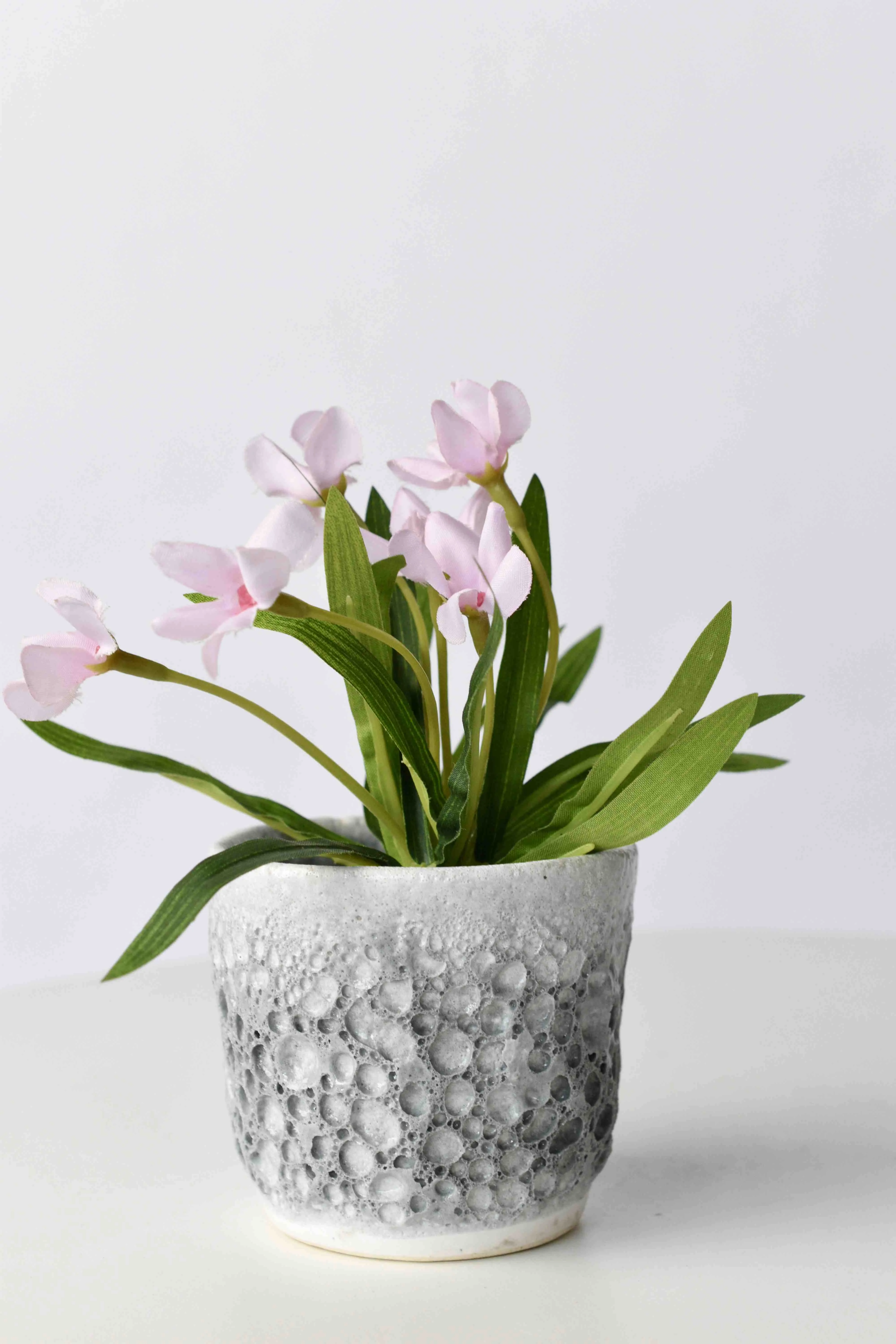 Classic Ceramic Planter — 5" Dia × 5" Height — Primary View