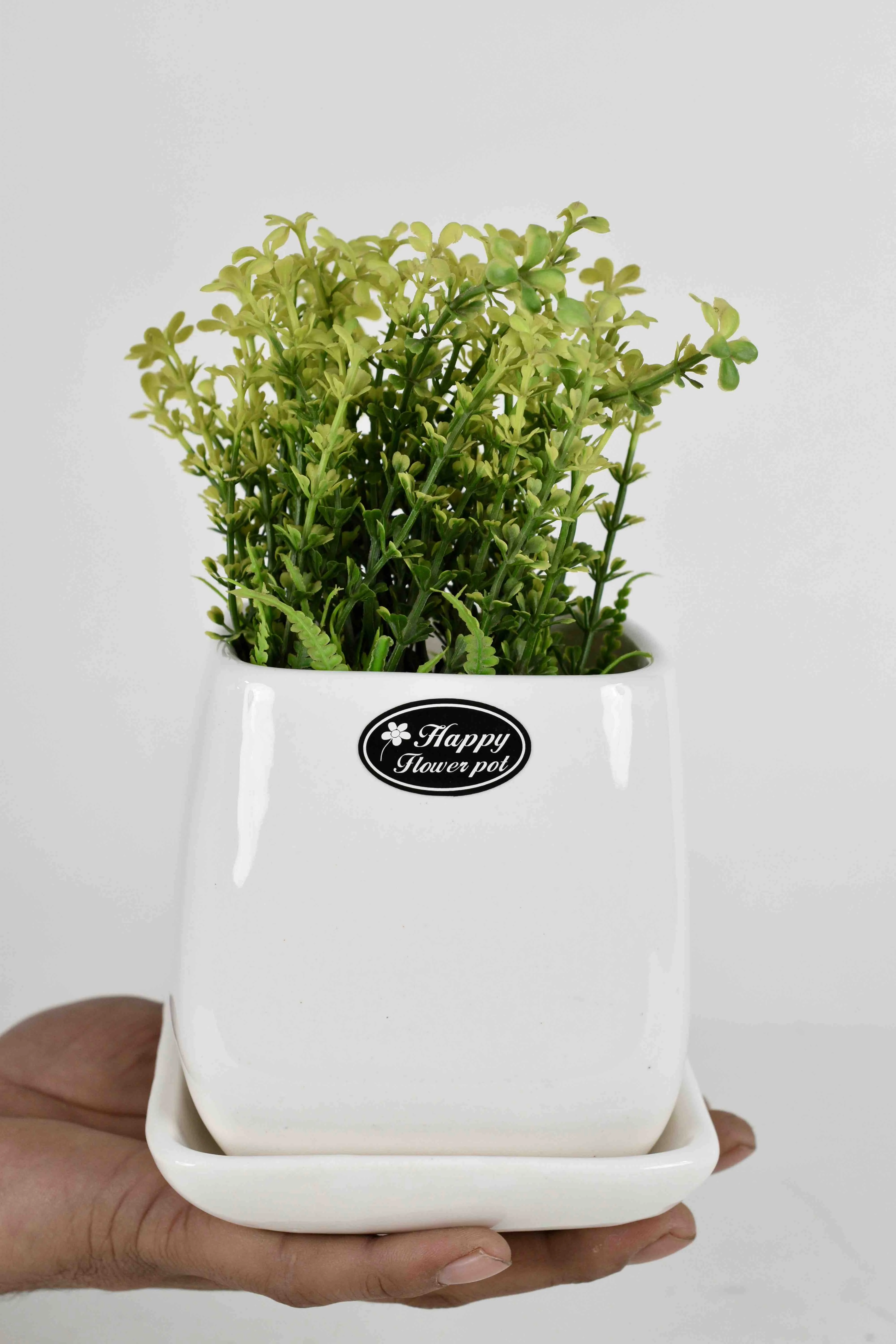 Classic Ceramic Planter — 3.5" Dia × 4" Height — Primary View