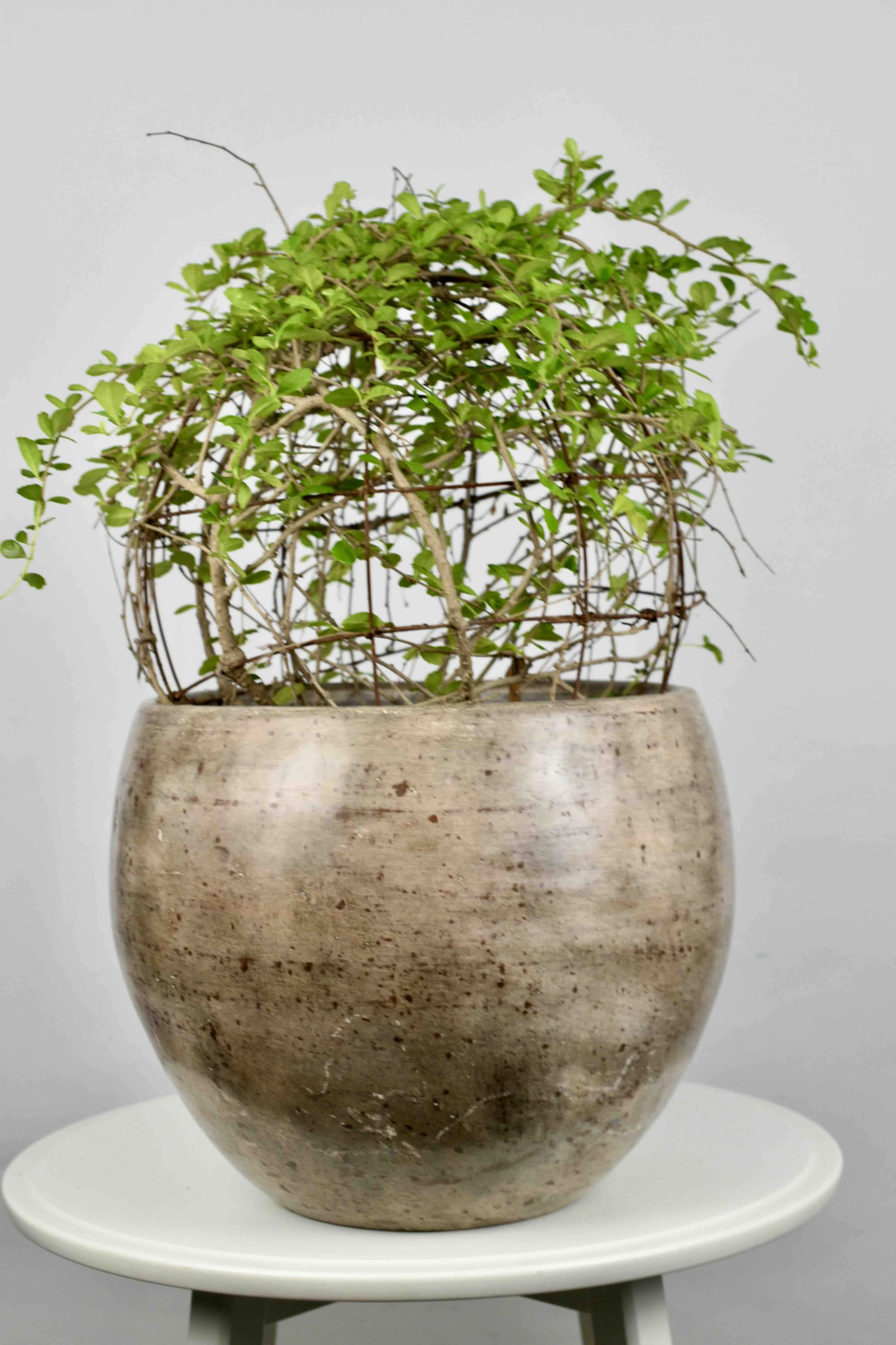 Classic Ceramic Planter — 4" Dia × 4" Height — Primary View