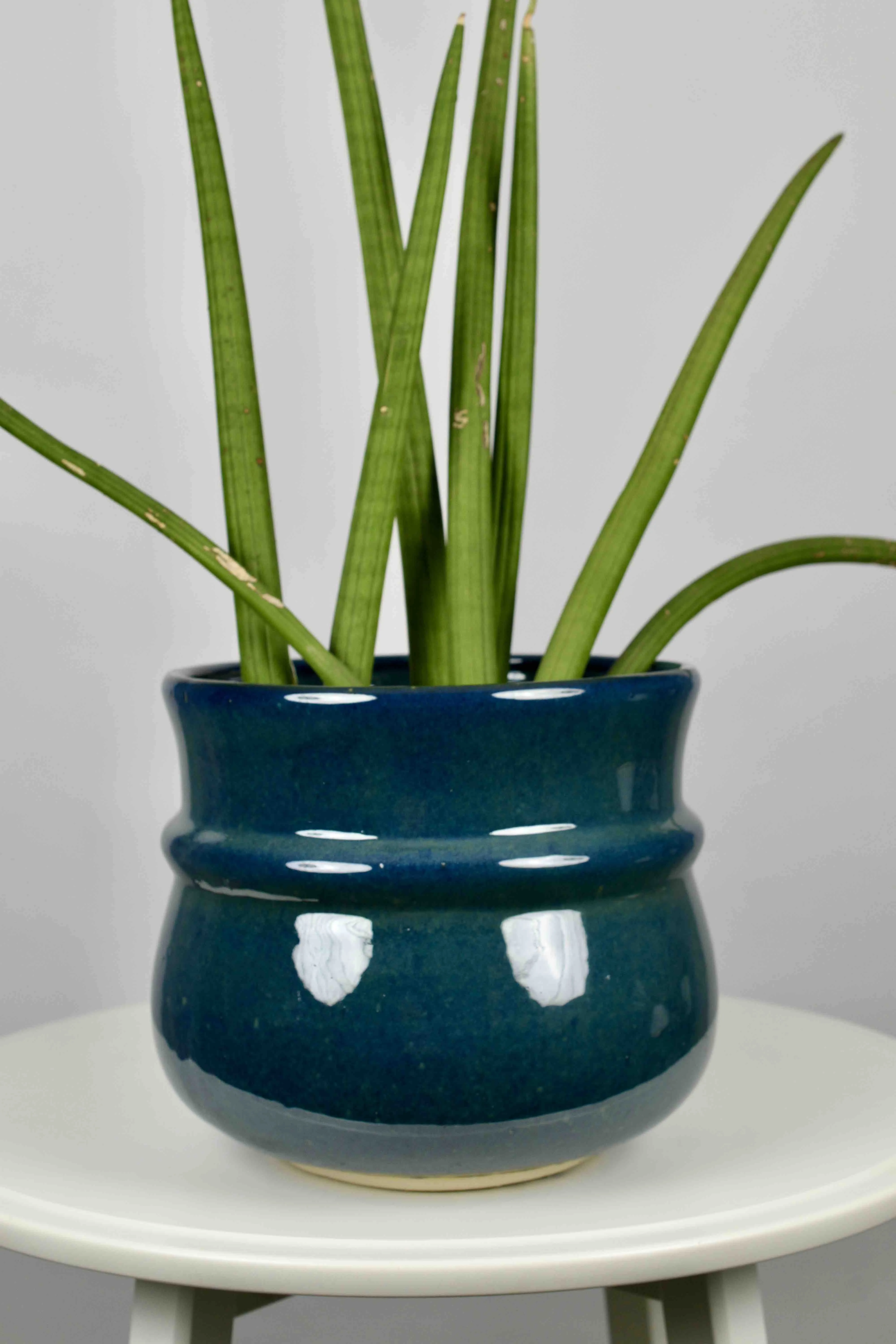 Classic Ceramic Planter — 5" Dia × 6" Height — Primary View