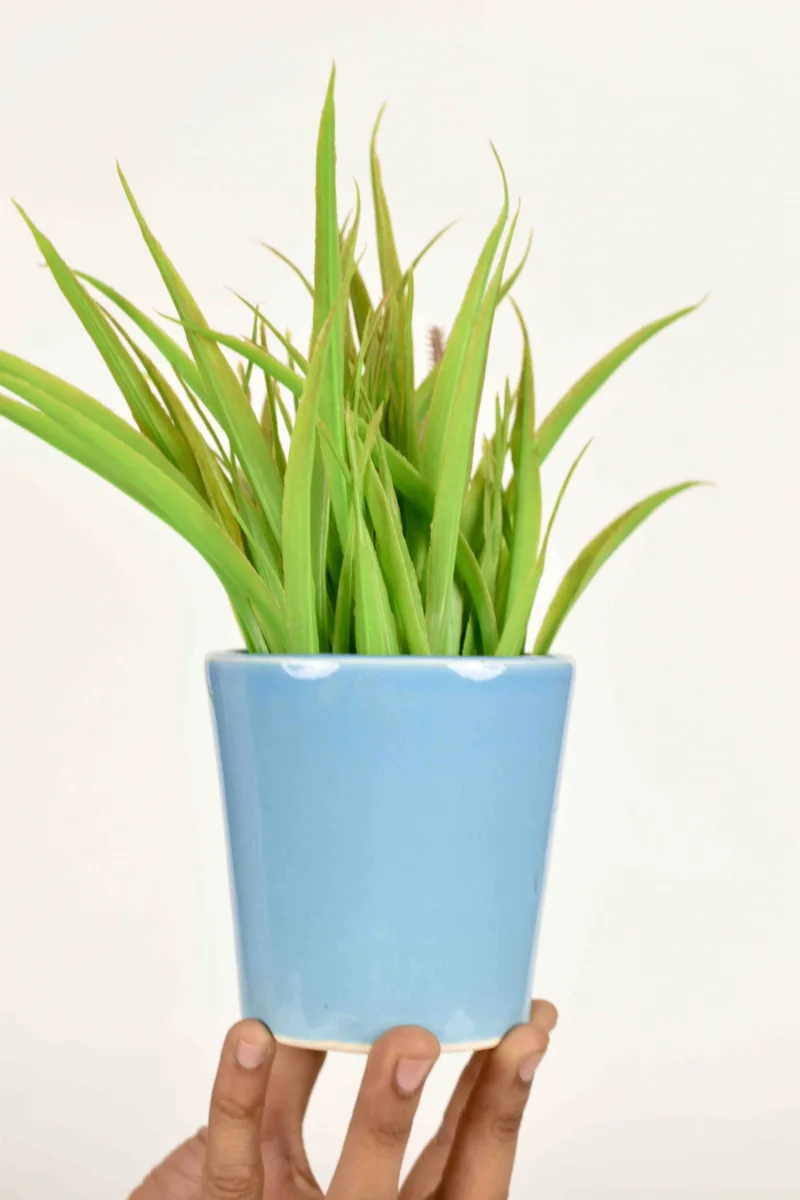 Classic Ceramic Planter — 8" Dia × 9" Height — Primary View