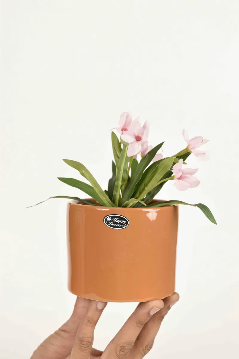 Classic Ceramic Planter — 4" Dia × 4" Height — Primary View