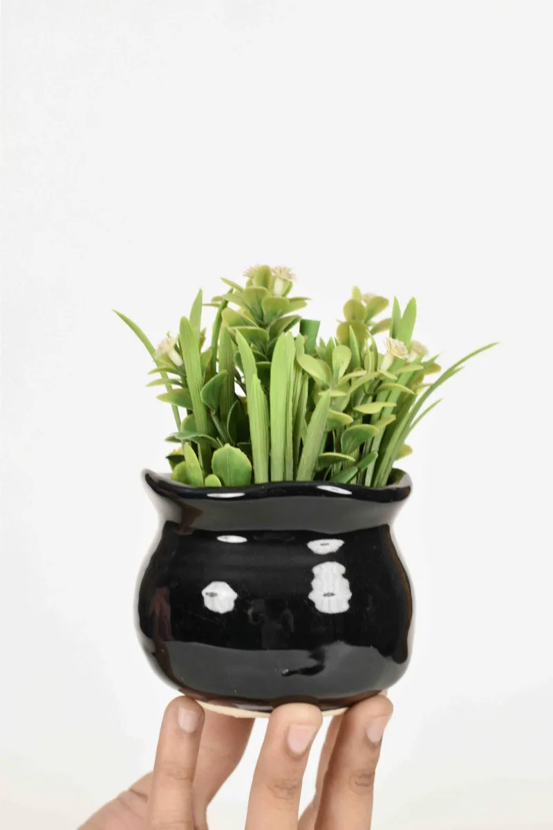 Classic Ceramic Planter — 5.5" Dia × 5" Height — Primary View