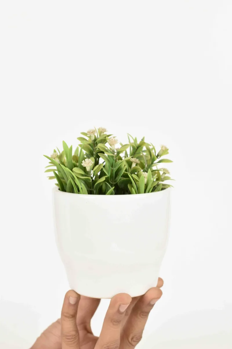 Classic Ceramic Planter — 5.5" Dia × 5" Height — Primary View