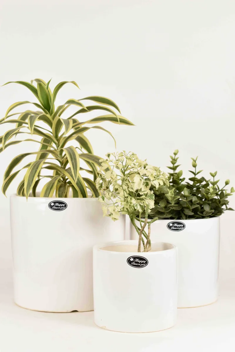 Classic Ceramic Planter — 8" Dia × 12" Height — Primary View