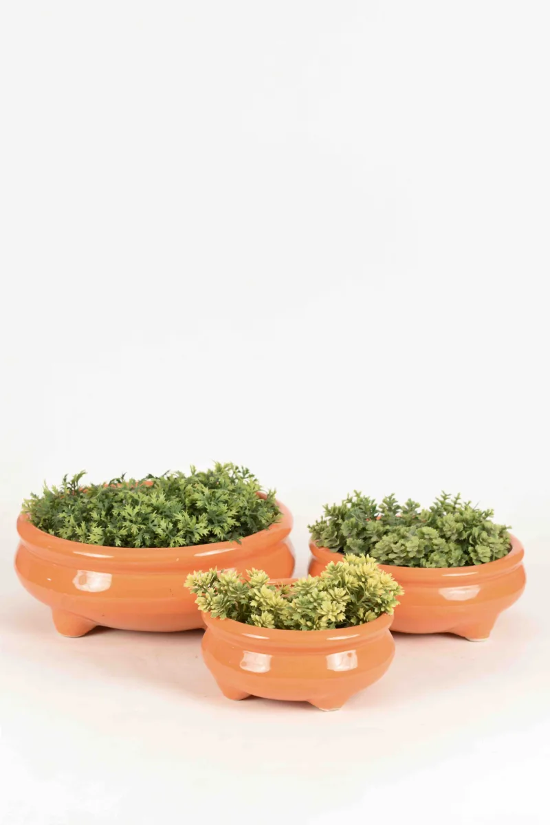 Classic Ceramic Planter Set of 2 (2" Dia) — Primary View