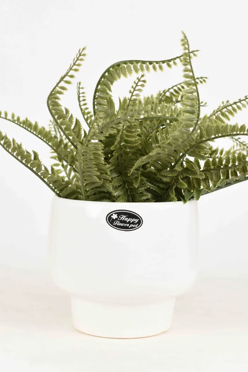 Classic Ceramic Planter — 4" Dia × 4" Height — Primary View