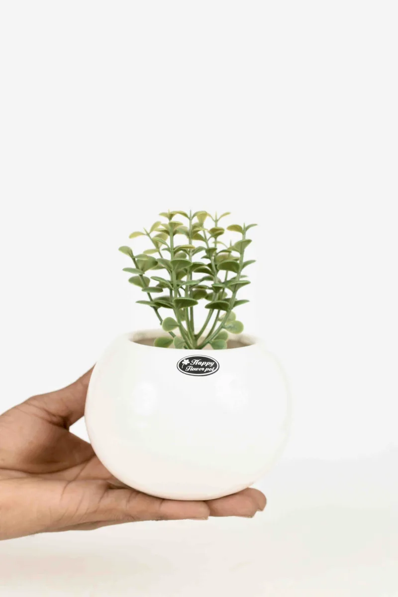 Classic Ceramic Planter — 4" Dia × 4" Height — Primary View