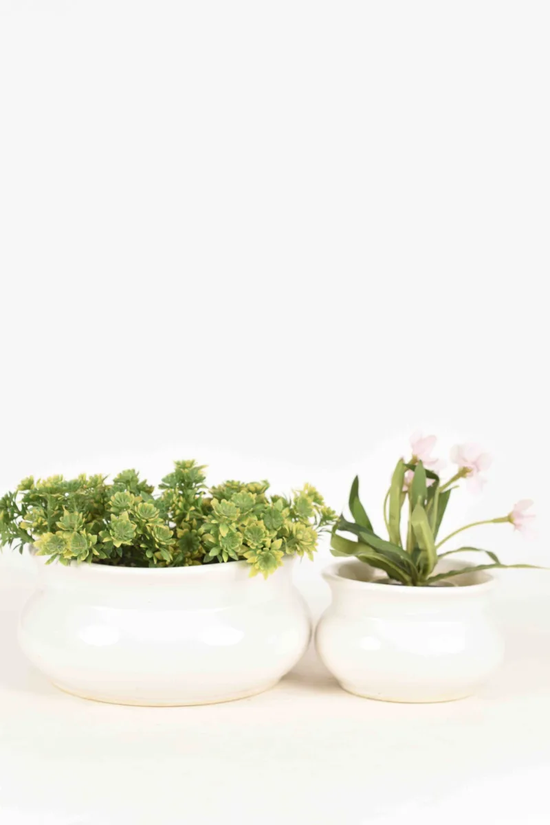 Classic Ceramic Planter — 8" Dia × 8" Height — Primary View