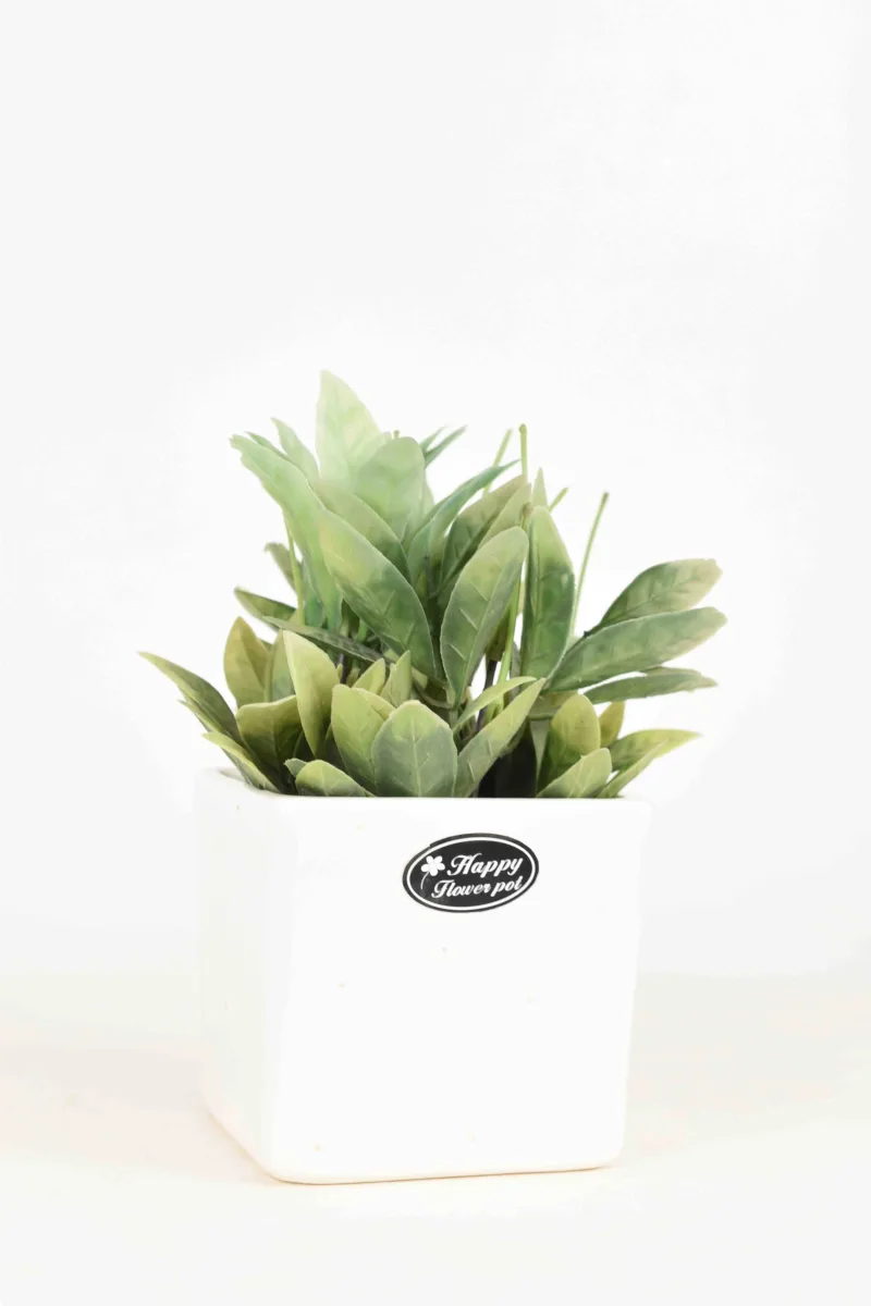 Classic Ceramic Planter — 4" Dia × 4" Height — Primary View